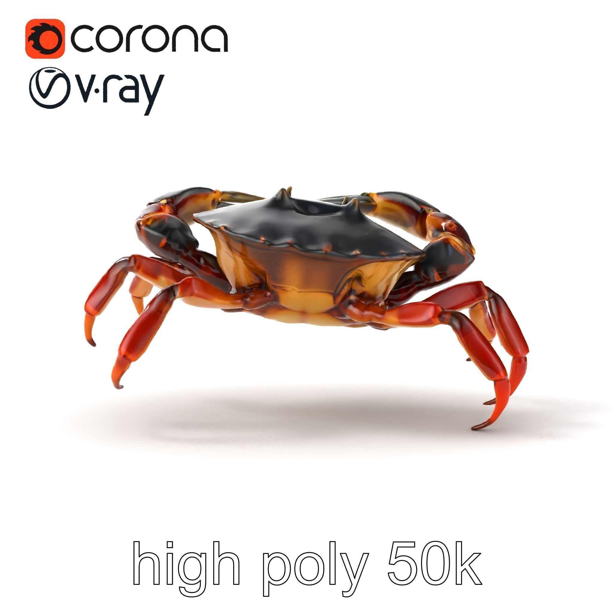 Mud Crab 3D Model Pack Featuring Realistic Earthy Texture Low-poly 3D model_15