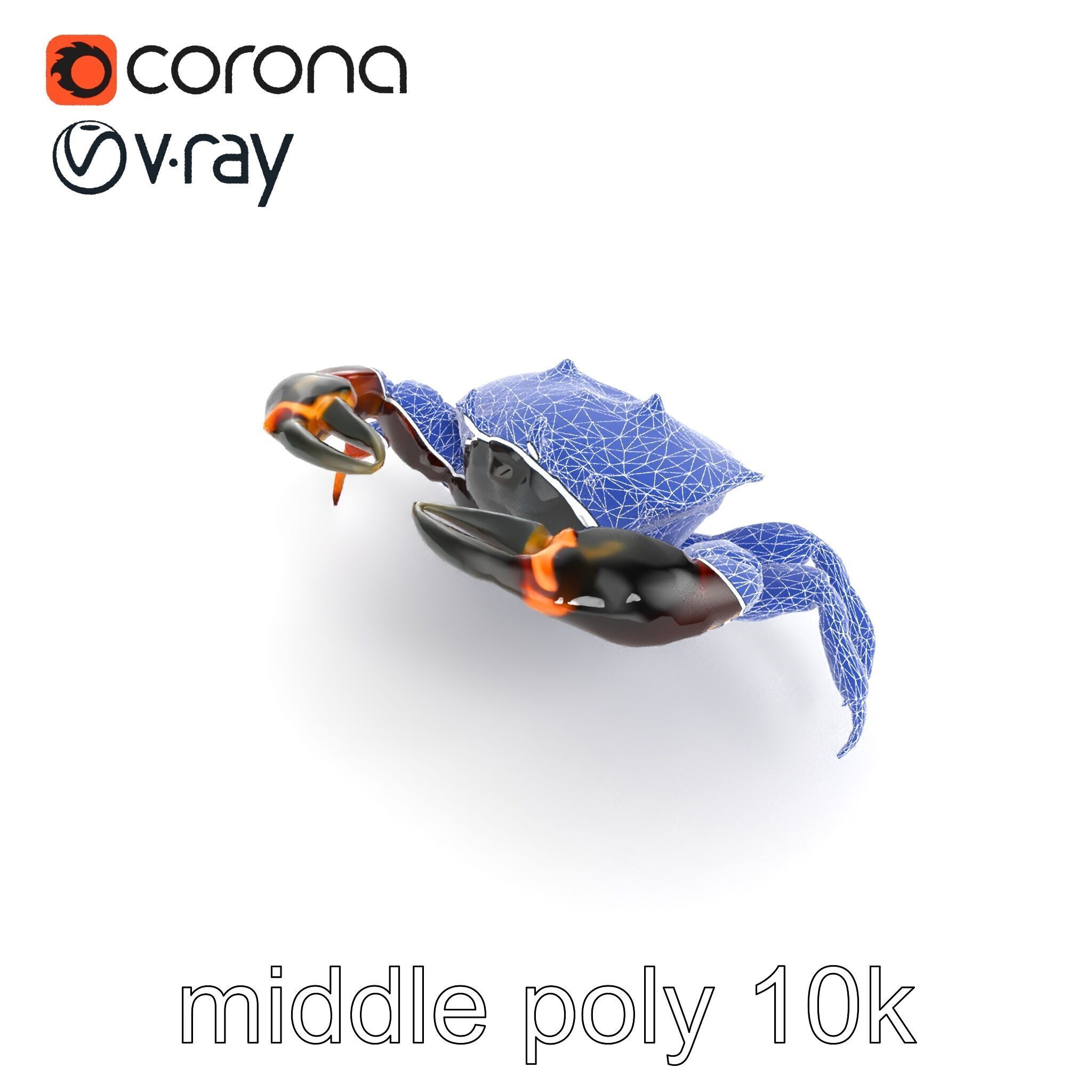 Mud Crab 3D Model Pack Featuring Realistic Earthy Texture Low-poly 3D model_24