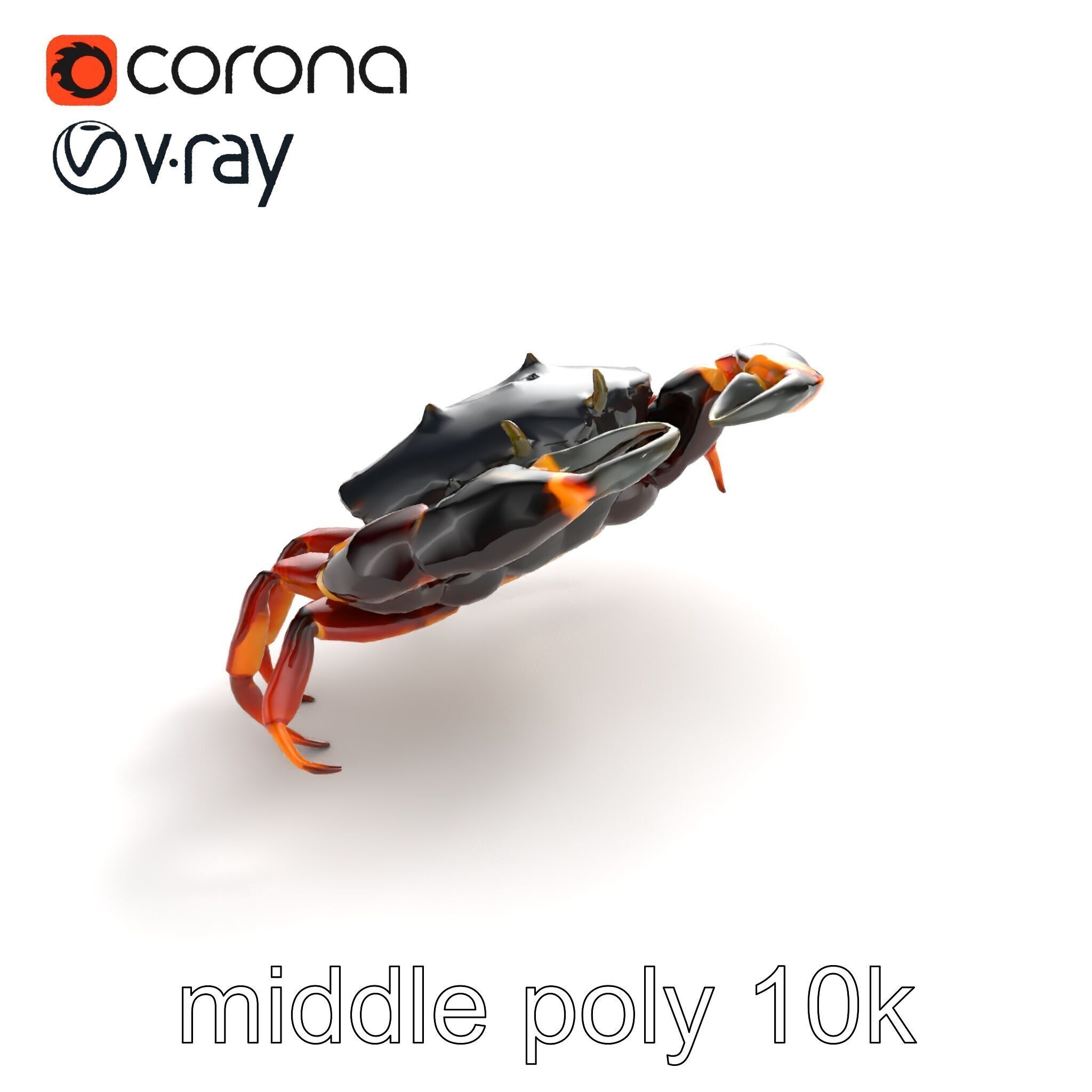 Mud Crab 3D Model Pack Featuring Realistic Earthy Texture Low-poly 3D model_7