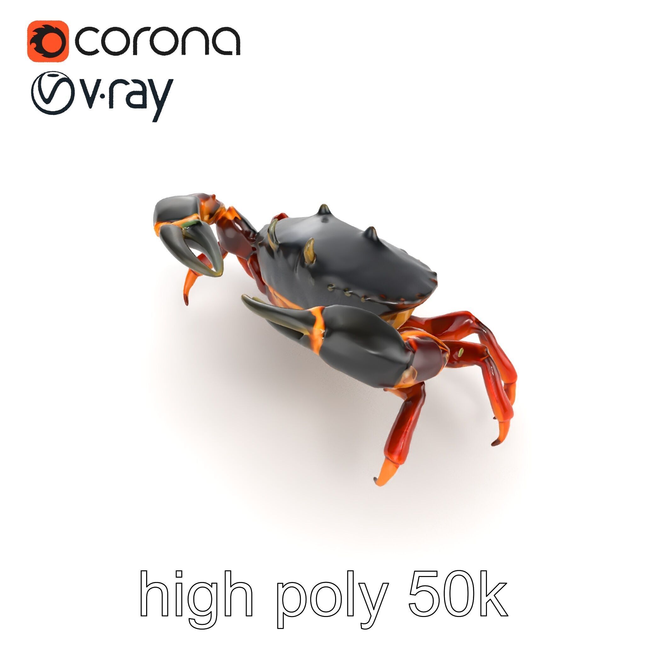 Mud Crab 3D Model Pack Featuring Realistic Earthy Texture Low-poly 3D model_21