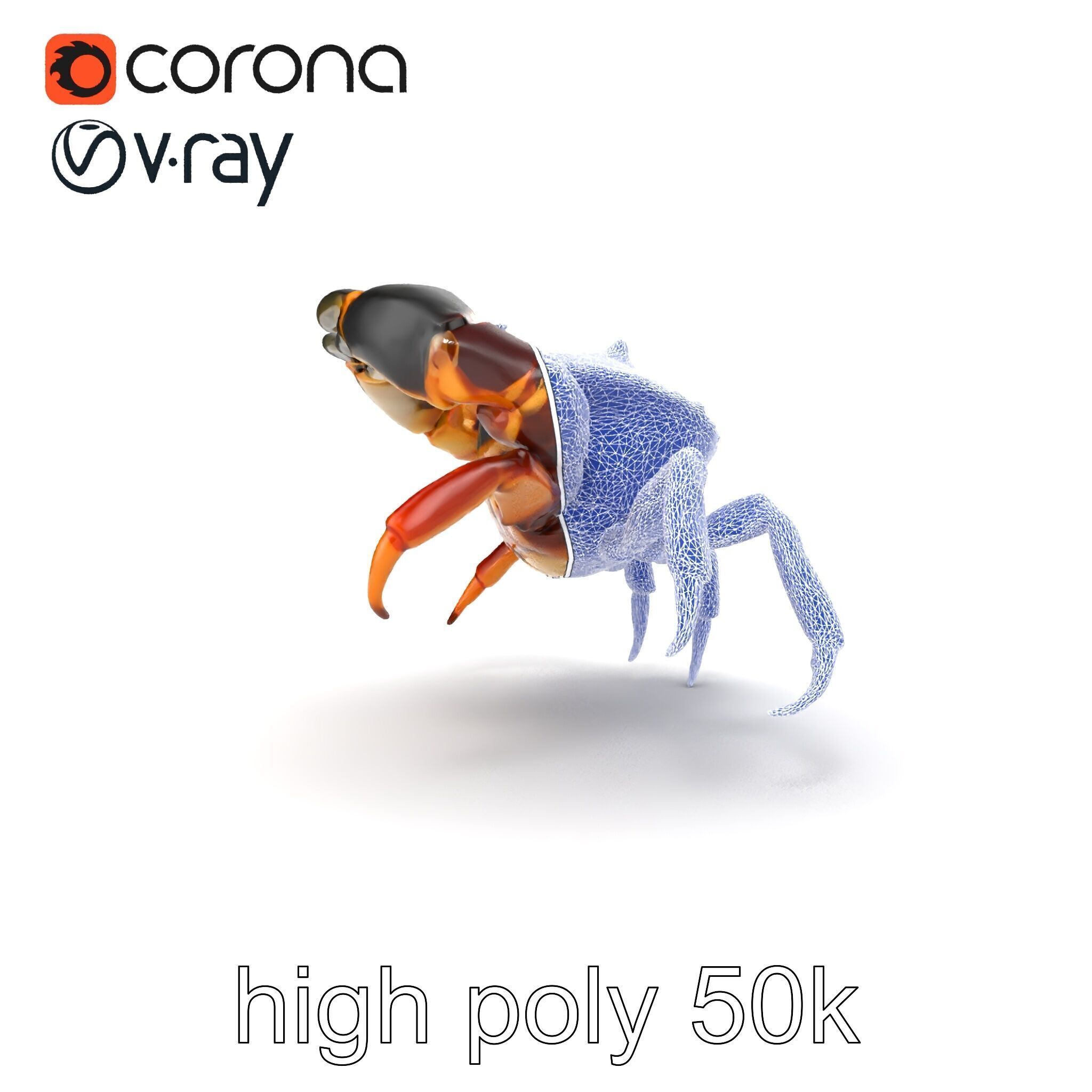 Mud Crab 3D Model Pack Featuring Realistic Earthy Texture Low-poly 3D model_26