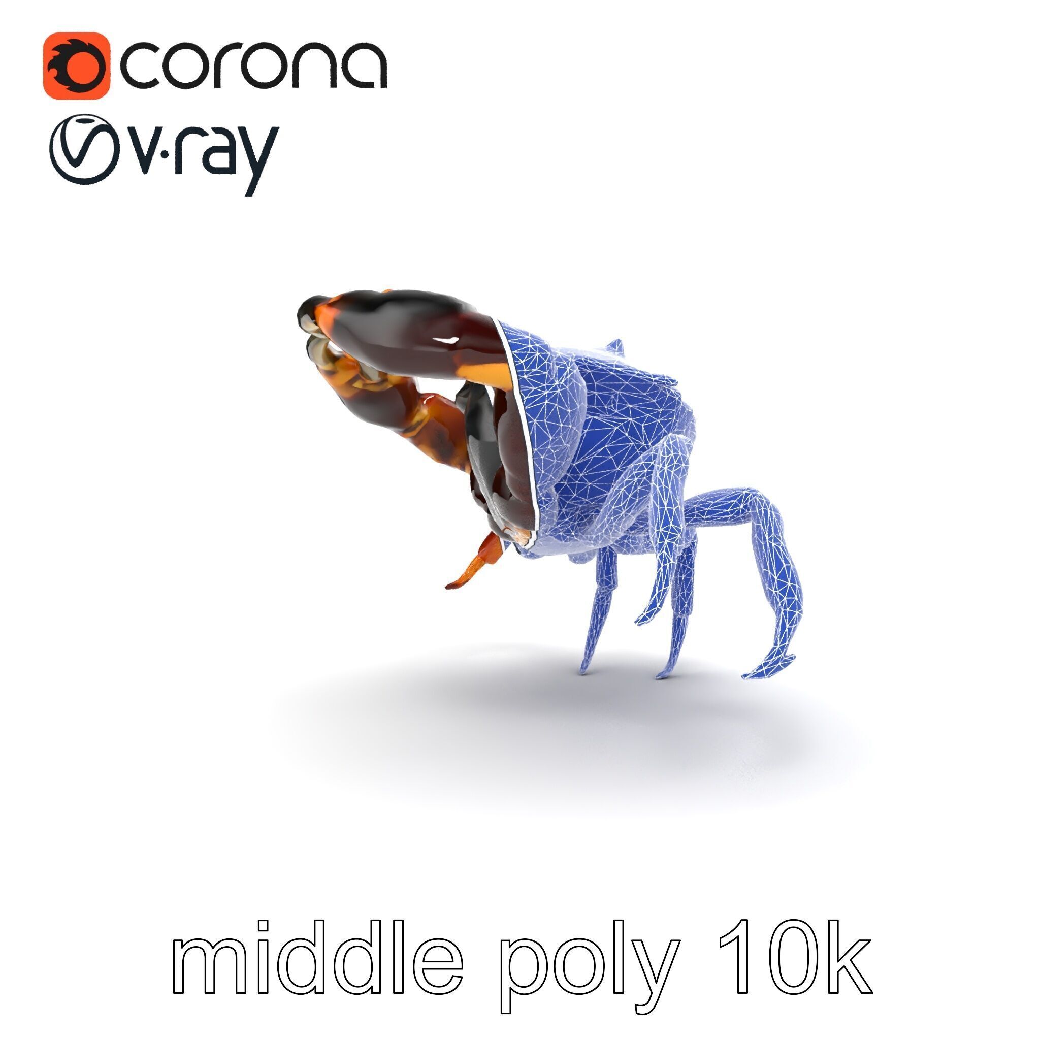 Mud Crab 3D Model Pack Featuring Realistic Earthy Texture Low-poly 3D model_16