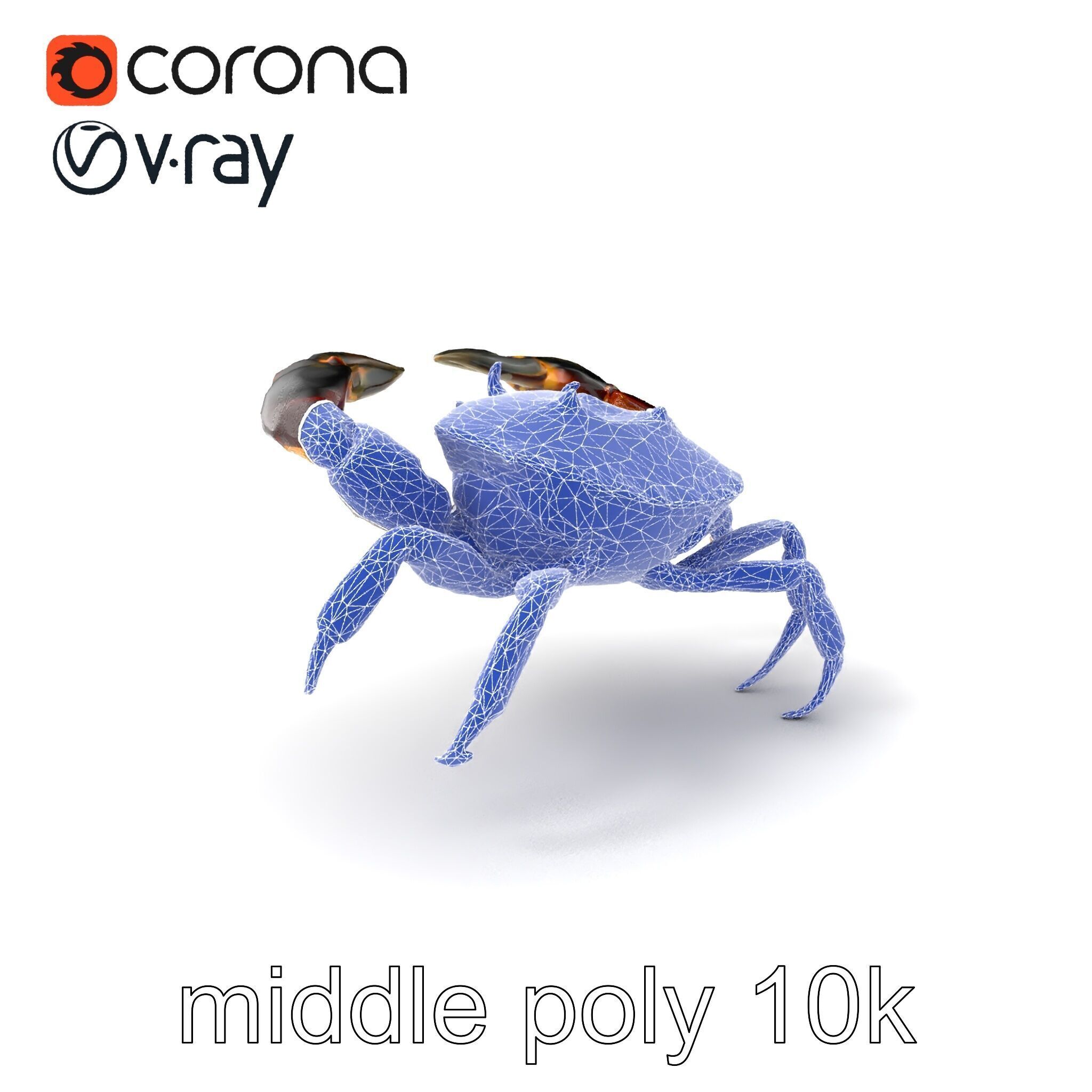 Mud Crab 3D Model Pack Featuring Realistic Earthy Texture Low-poly 3D model_5