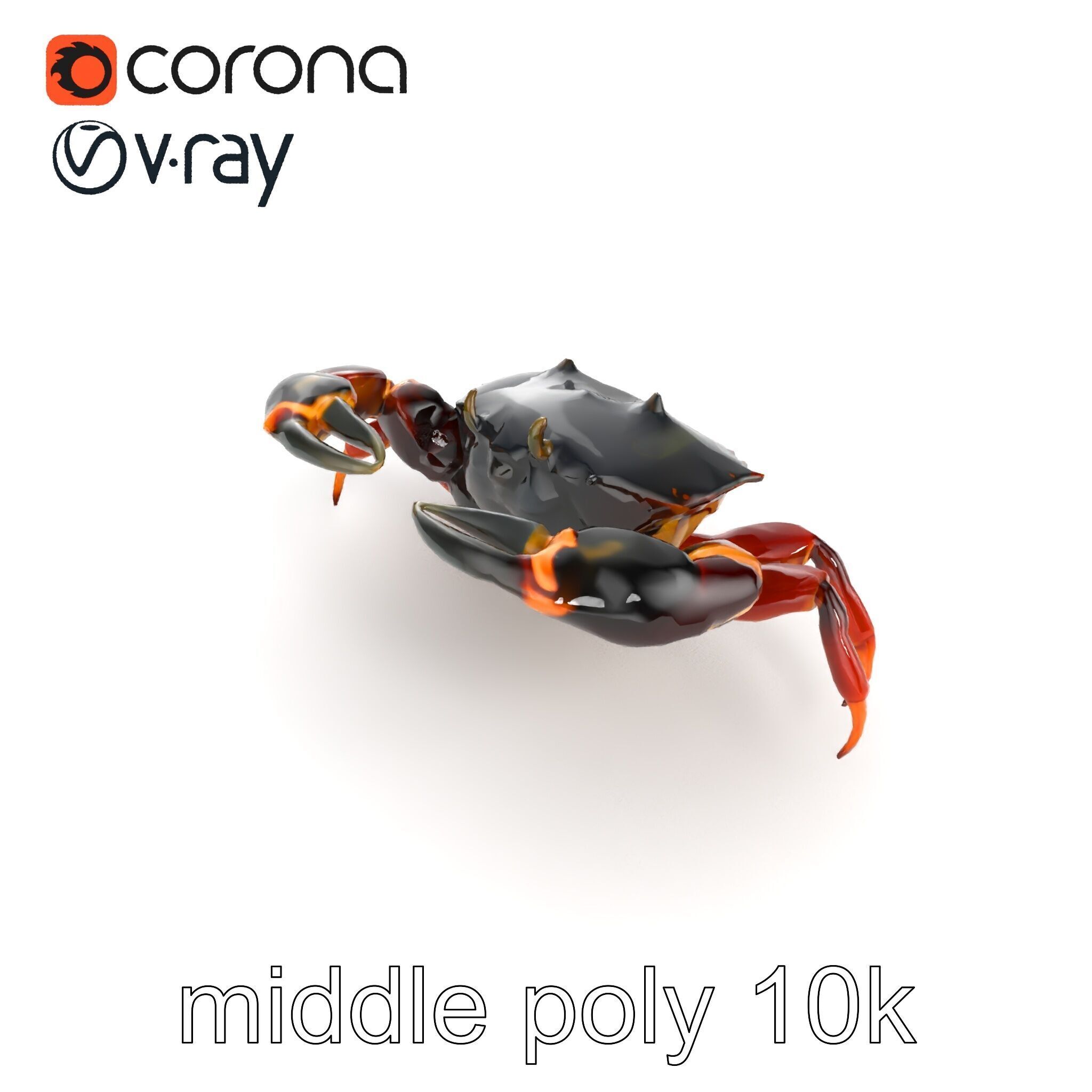 Mud Crab 3D Model Pack Featuring Realistic Earthy Texture Low-poly 3D model_20