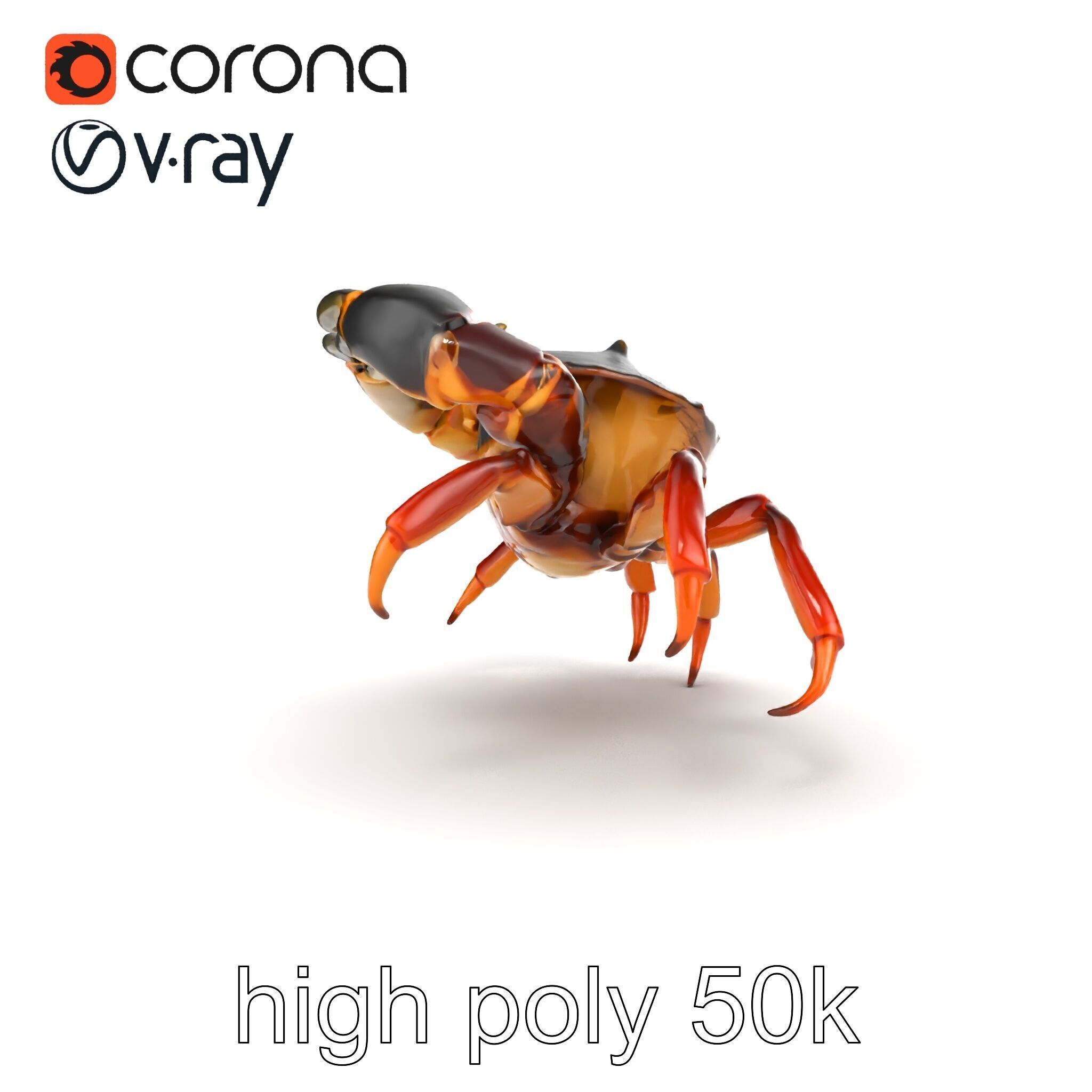 Mud Crab 3D Model Pack Featuring Realistic Earthy Texture Low-poly 3D model_28