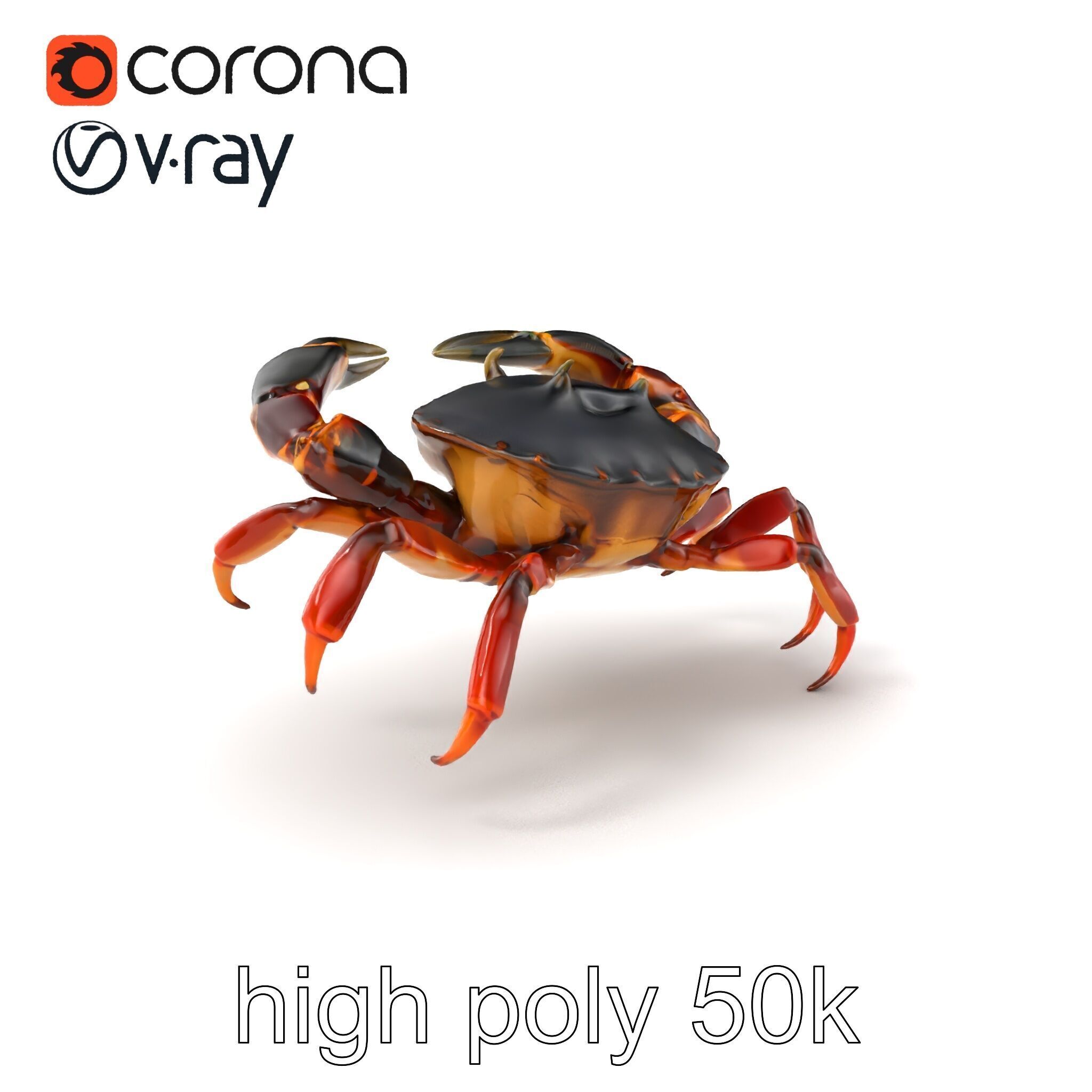 Mud Crab 3D Model Pack Featuring Realistic Earthy Texture Low-poly 3D model_2
