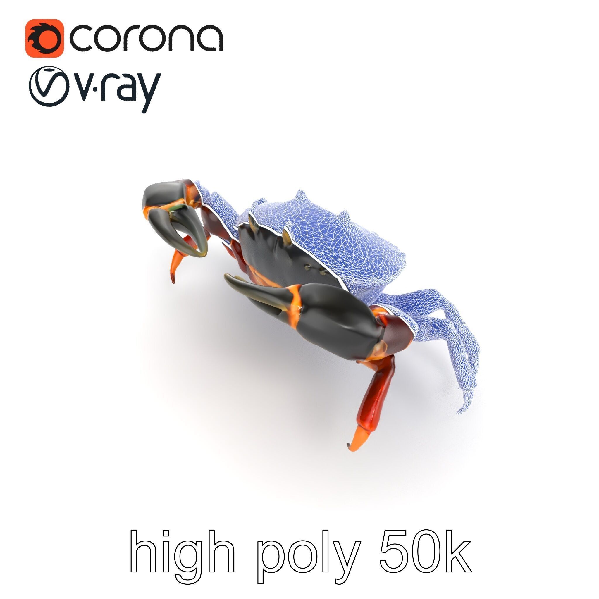 Mud Crab 3D Model Pack Featuring Realistic Earthy Texture Low-poly 3D model_23