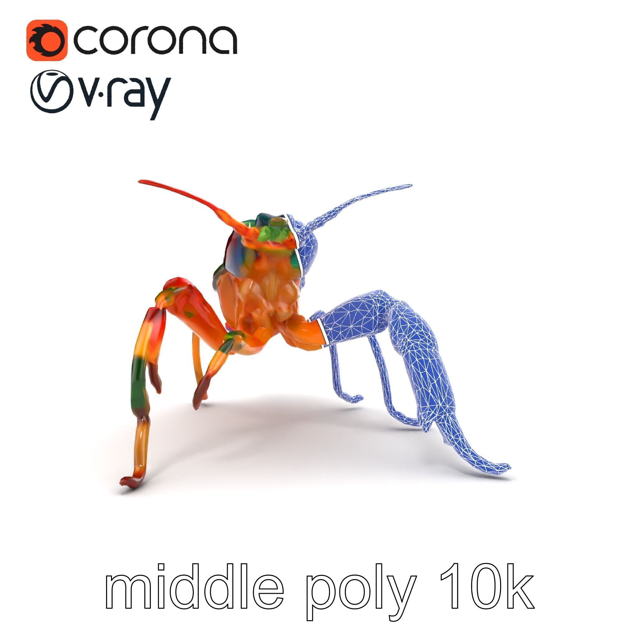 Peacock Mantis Shrimp Vivid Rainbow Model Pack Low-poly 3D model_14