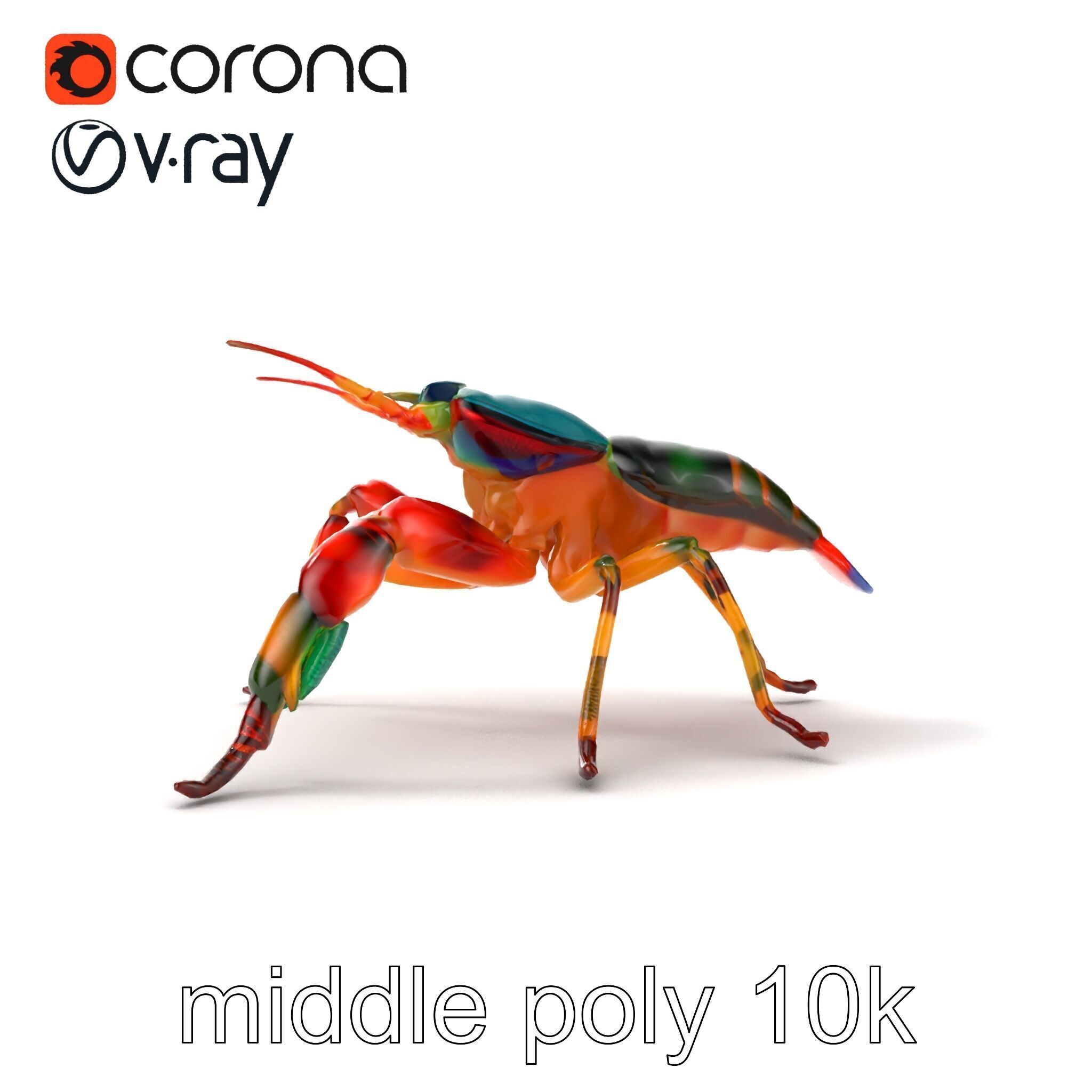 Peacock Mantis Shrimp Vivid Rainbow Model Pack Low-poly 3D model_30