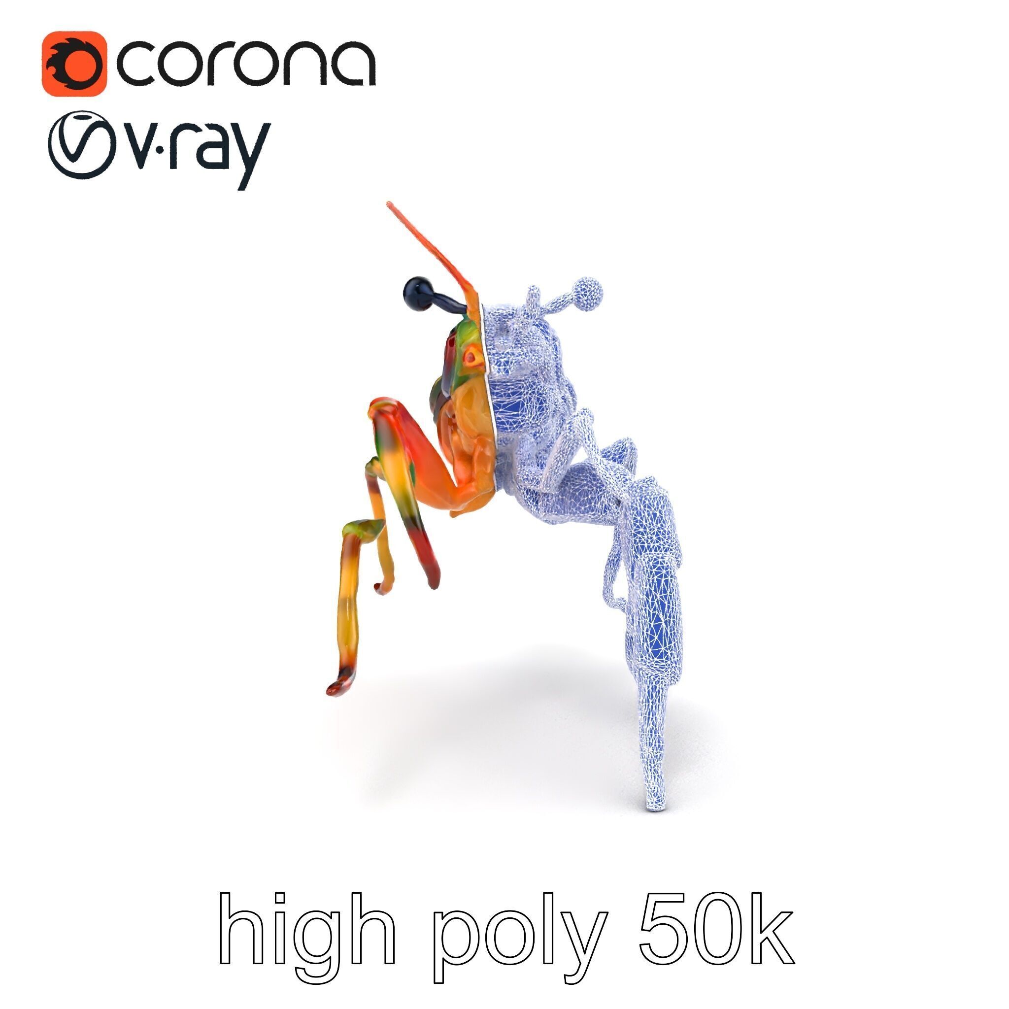 Peacock Mantis Shrimp Vivid Rainbow Model Pack Low-poly 3D model_24