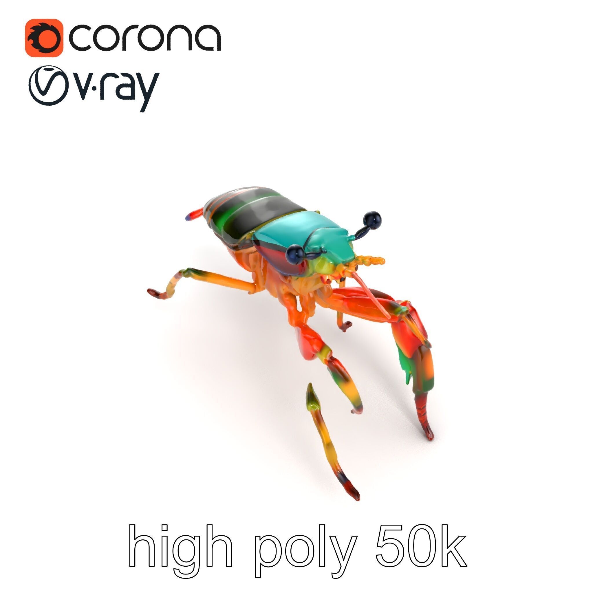 Peacock Mantis Shrimp Vivid Rainbow Model Pack Low-poly 3D model_27