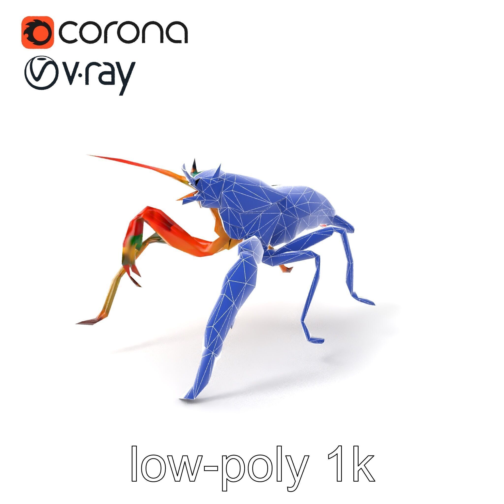Peacock Mantis Shrimp Vivid Rainbow Model Pack Low-poly 3D model_6