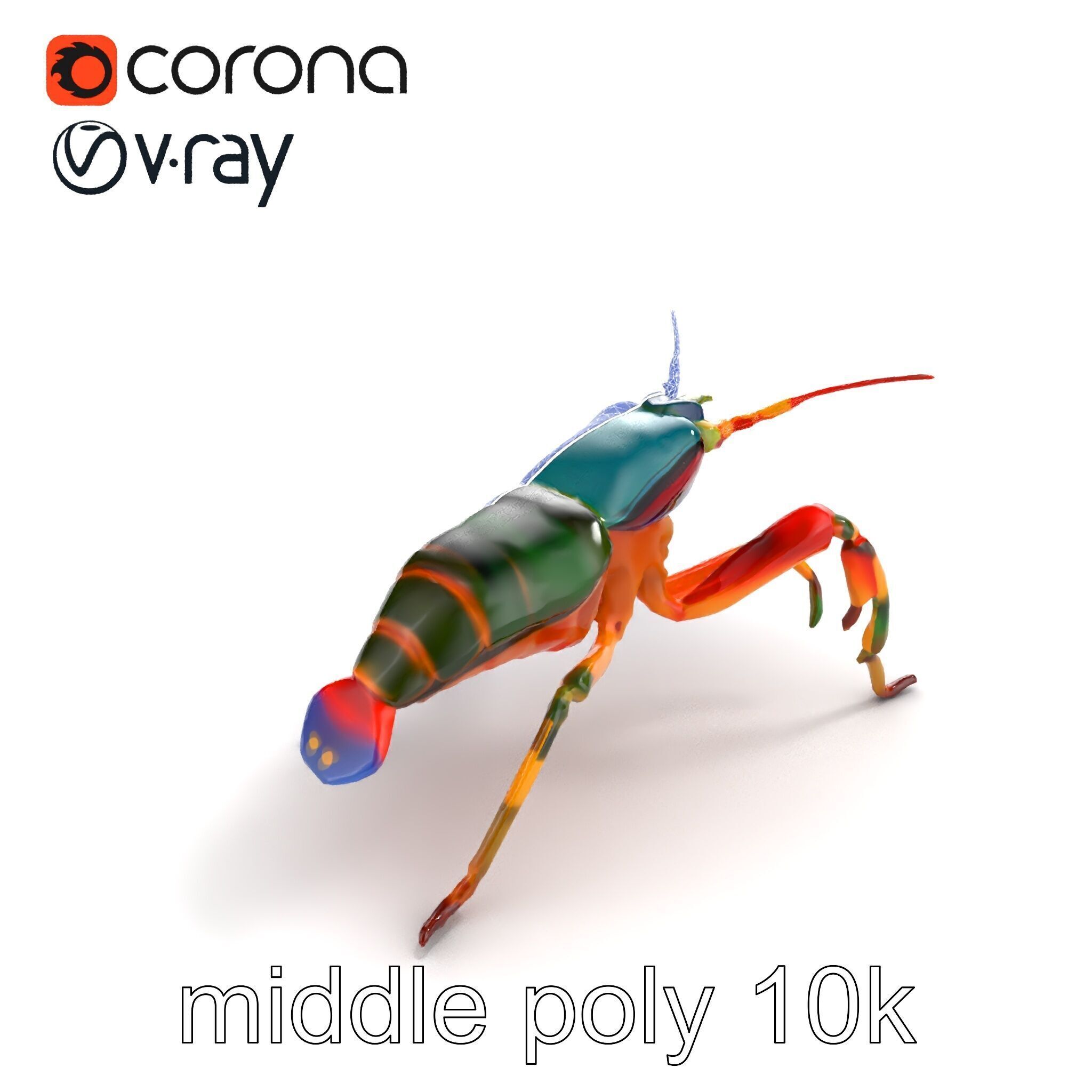 Peacock Mantis Shrimp Vivid Rainbow Model Pack Low-poly 3D model_16