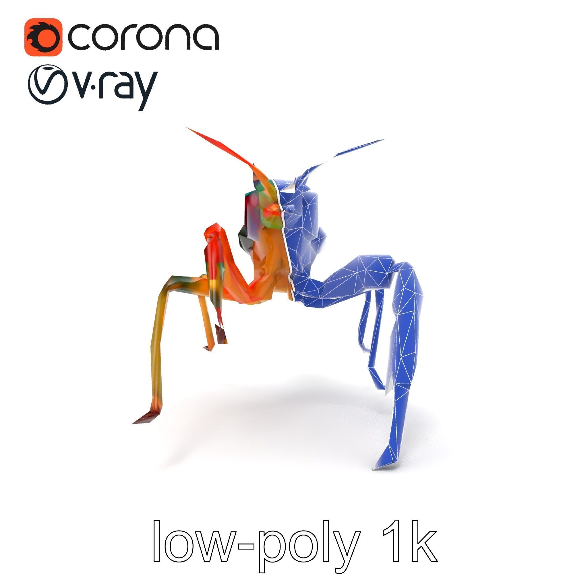 Peacock Mantis Shrimp Vivid Rainbow Model Pack Low-poly 3D model_19