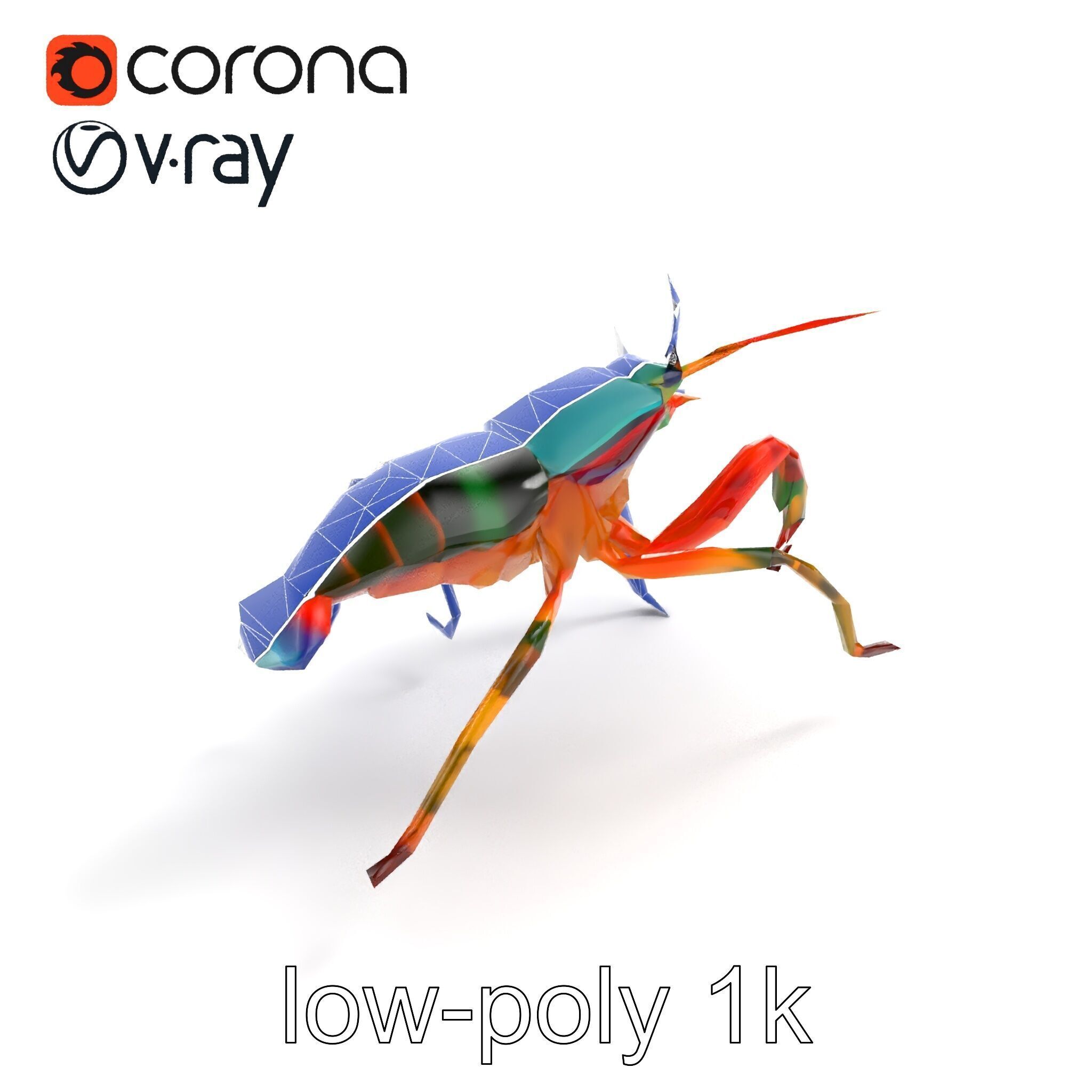 Peacock Mantis Shrimp Vivid Rainbow Model Pack Low-poly 3D model_13