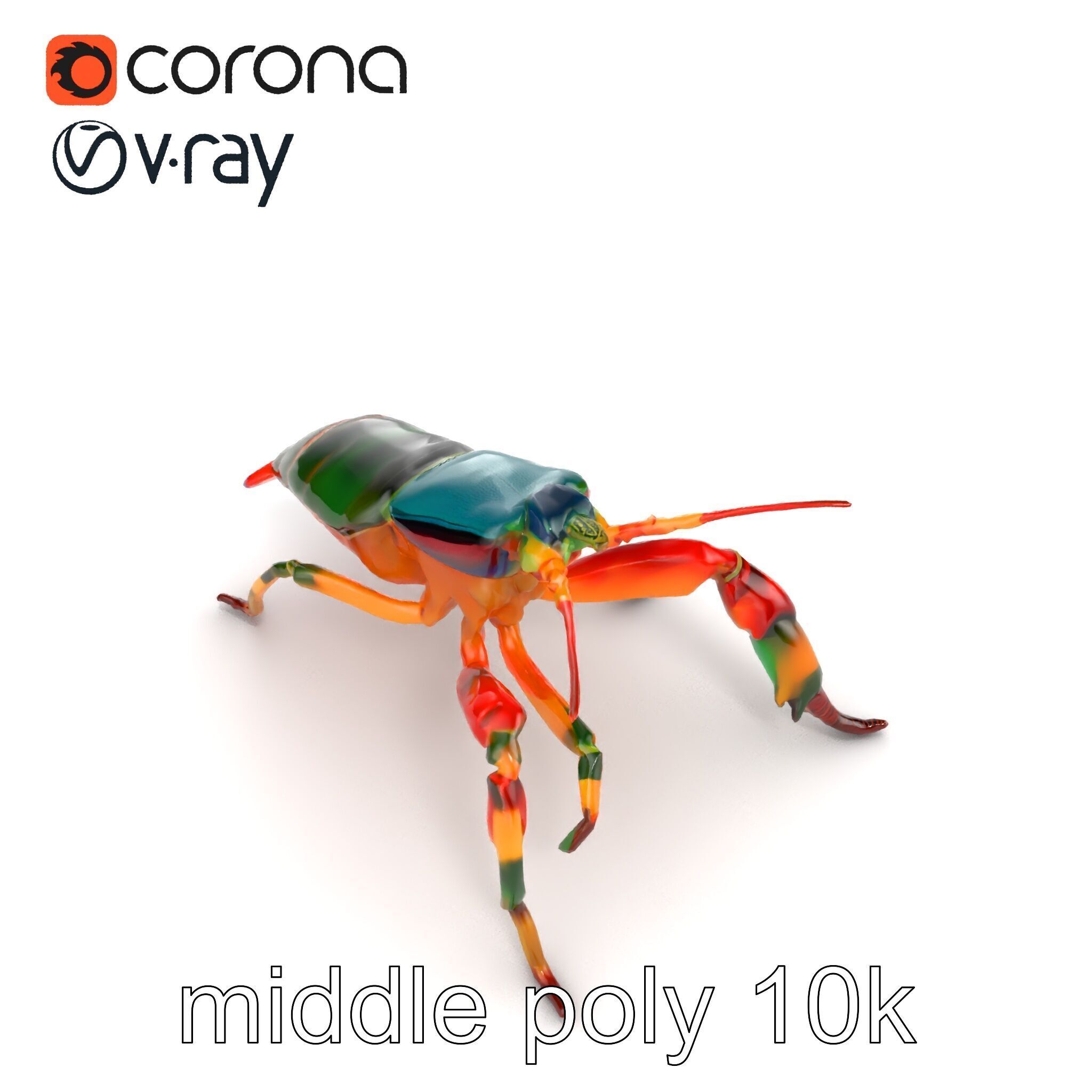 Peacock Mantis Shrimp Vivid Rainbow Model Pack Low-poly 3D model_10