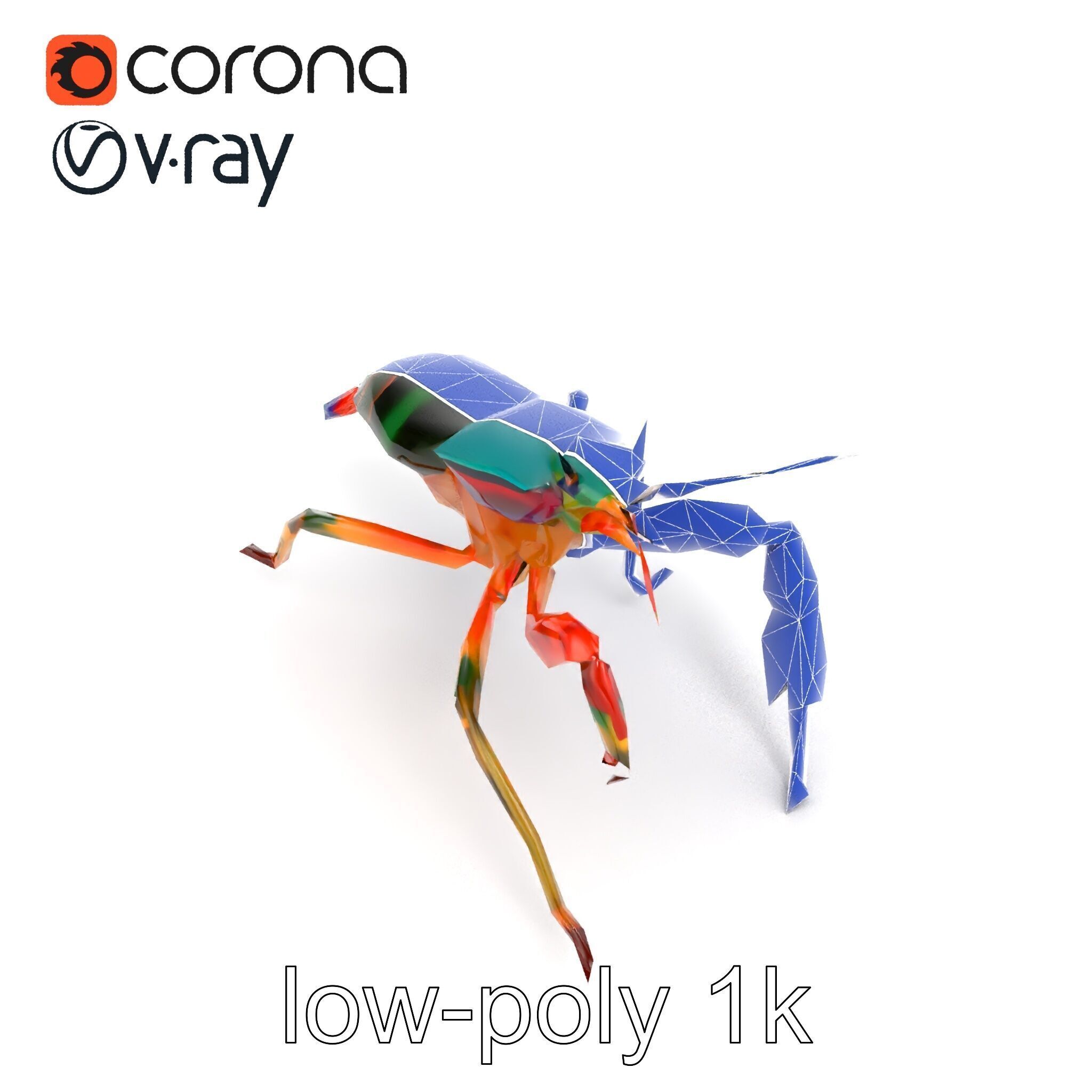 Peacock Mantis Shrimp Vivid Rainbow Model Pack Low-poly 3D model_11