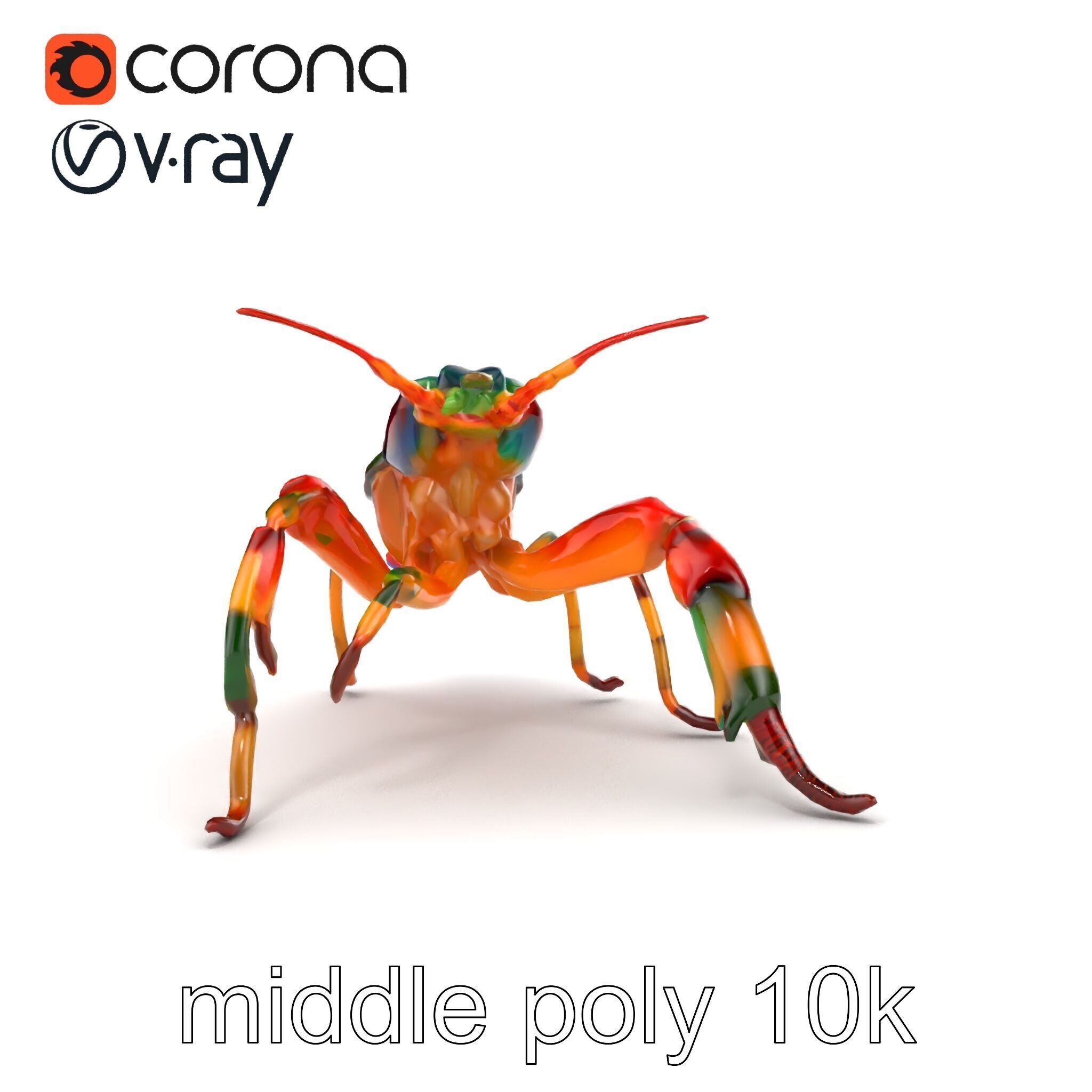 Peacock Mantis Shrimp Vivid Rainbow Model Pack Low-poly 3D model_15