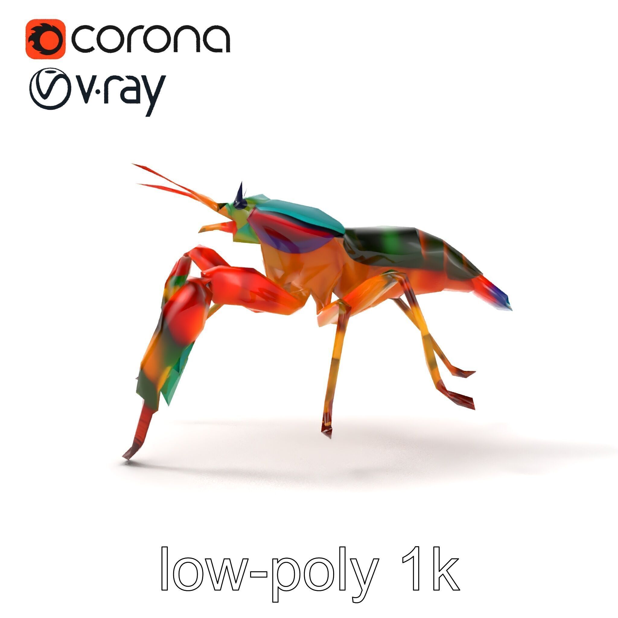 Peacock Mantis Shrimp Vivid Rainbow Model Pack Low-poly 3D model_29