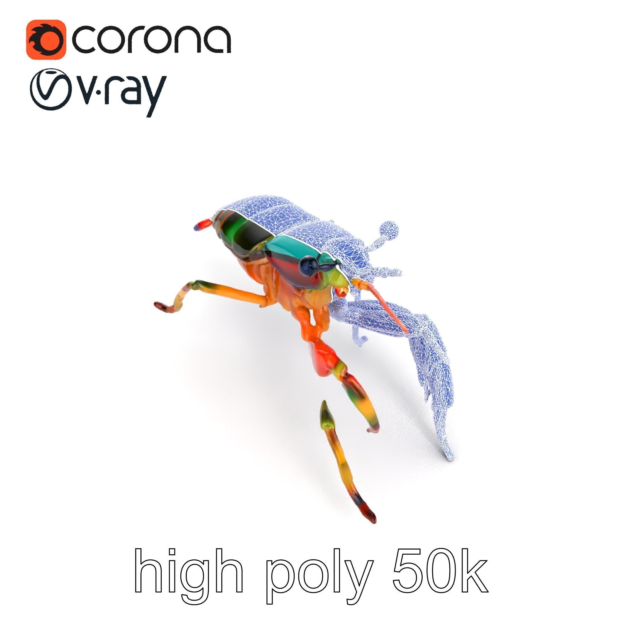 Peacock Mantis Shrimp Vivid Rainbow Model Pack Low-poly 3D model_18