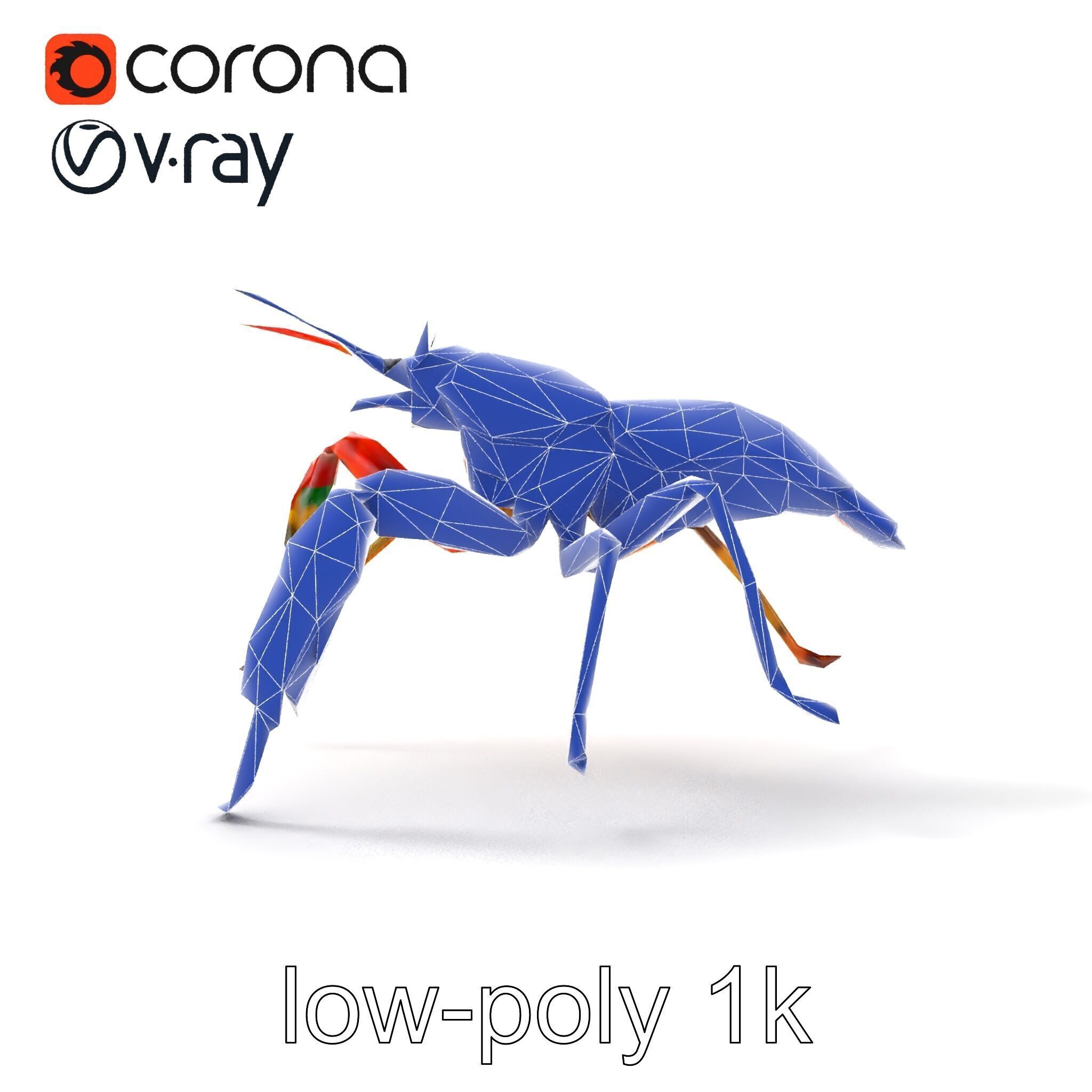 Peacock Mantis Shrimp Vivid Rainbow Model Pack Low-poly 3D model_28