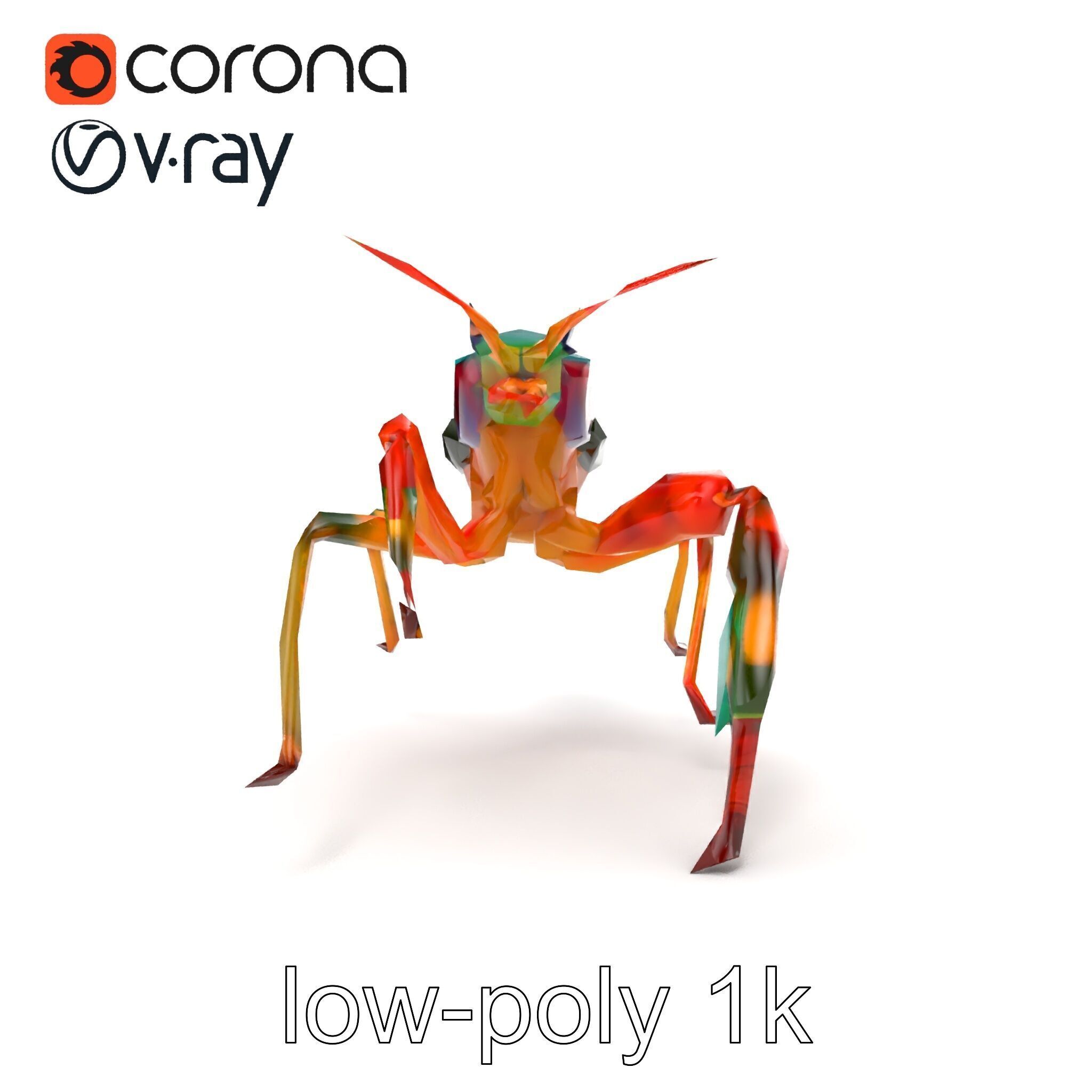 Peacock Mantis Shrimp Vivid Rainbow Model Pack Low-poly 3D model_25