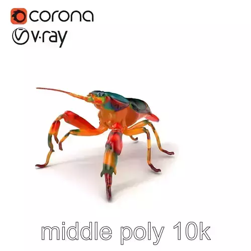 Peacock Mantis Shrimp Vivid Rainbow Model Pack Low-poly 3D model