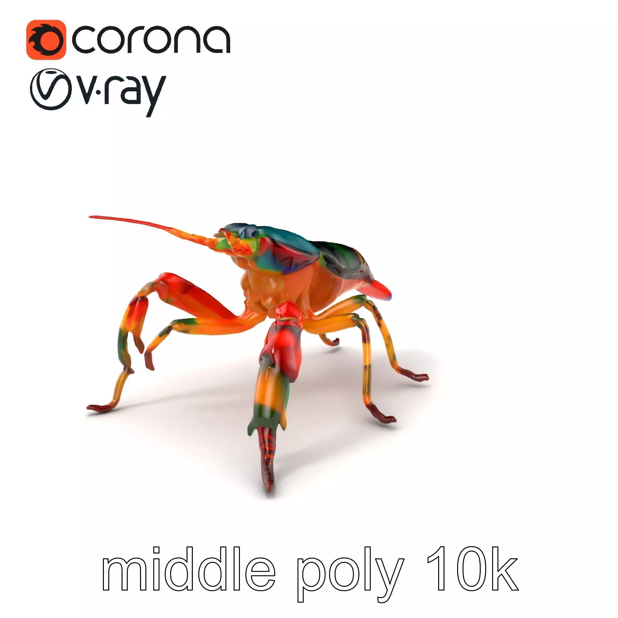 Peacock Mantis Shrimp Vivid Rainbow Model Pack Low-poly 3D model_0