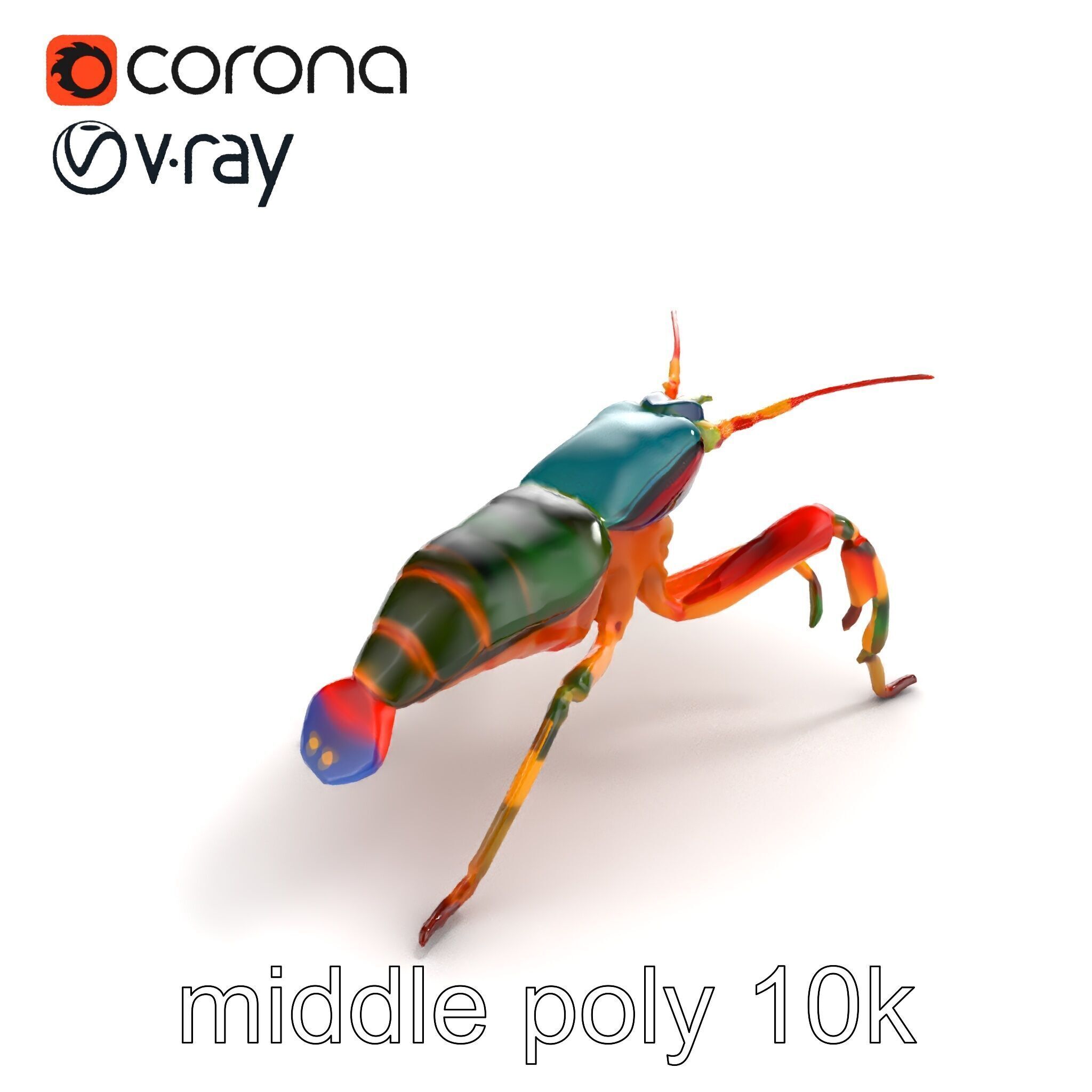 Peacock Mantis Shrimp Vivid Rainbow Model Pack Low-poly 3D model_7