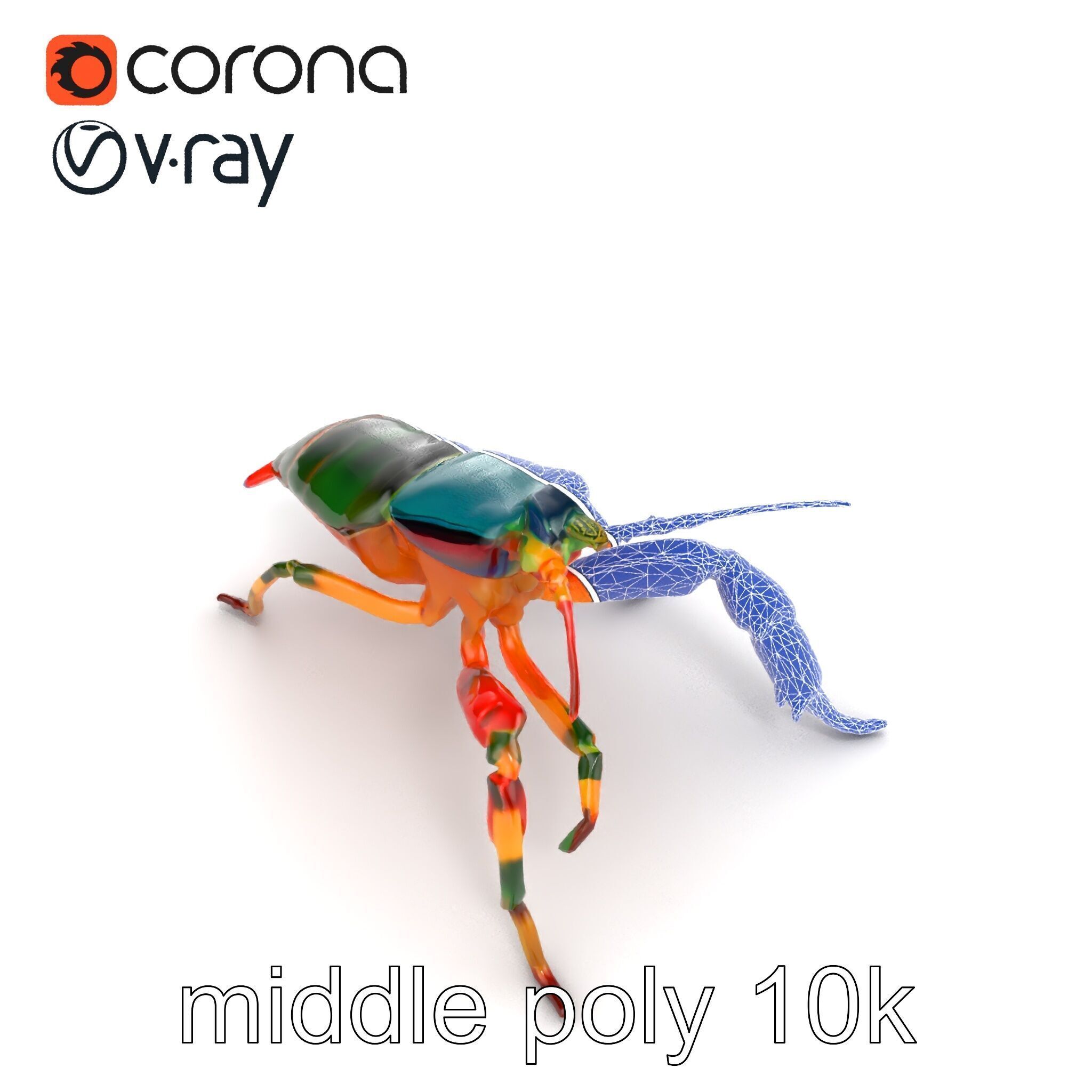 Peacock Mantis Shrimp Vivid Rainbow Model Pack Low-poly 3D model_23