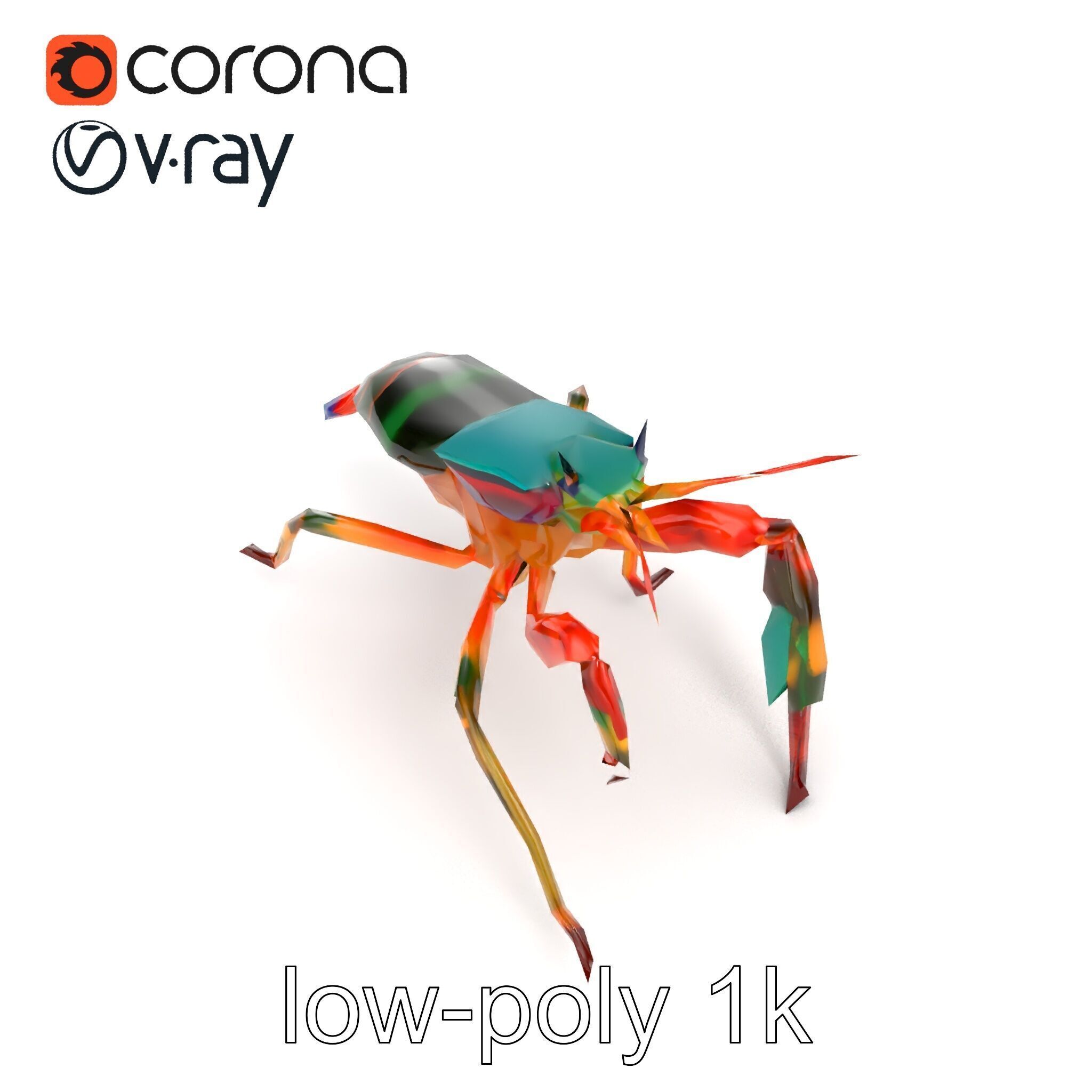 Peacock Mantis Shrimp Vivid Rainbow Model Pack Low-poly 3D model_22