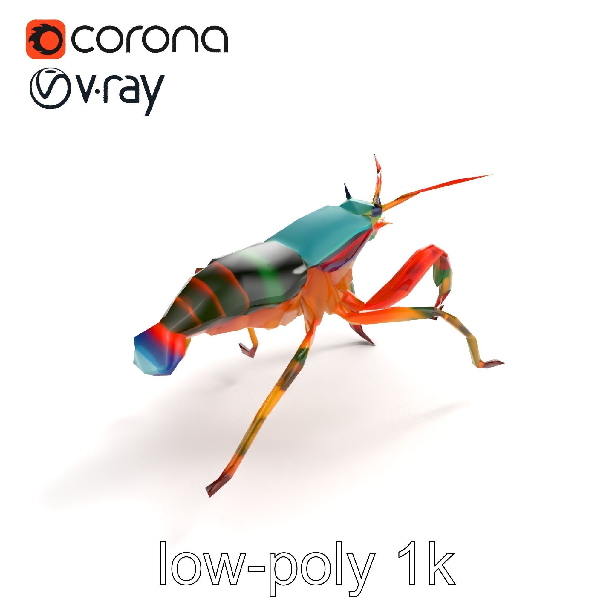 Peacock Mantis Shrimp Vivid Rainbow Model Pack Low-poly 3D model_8