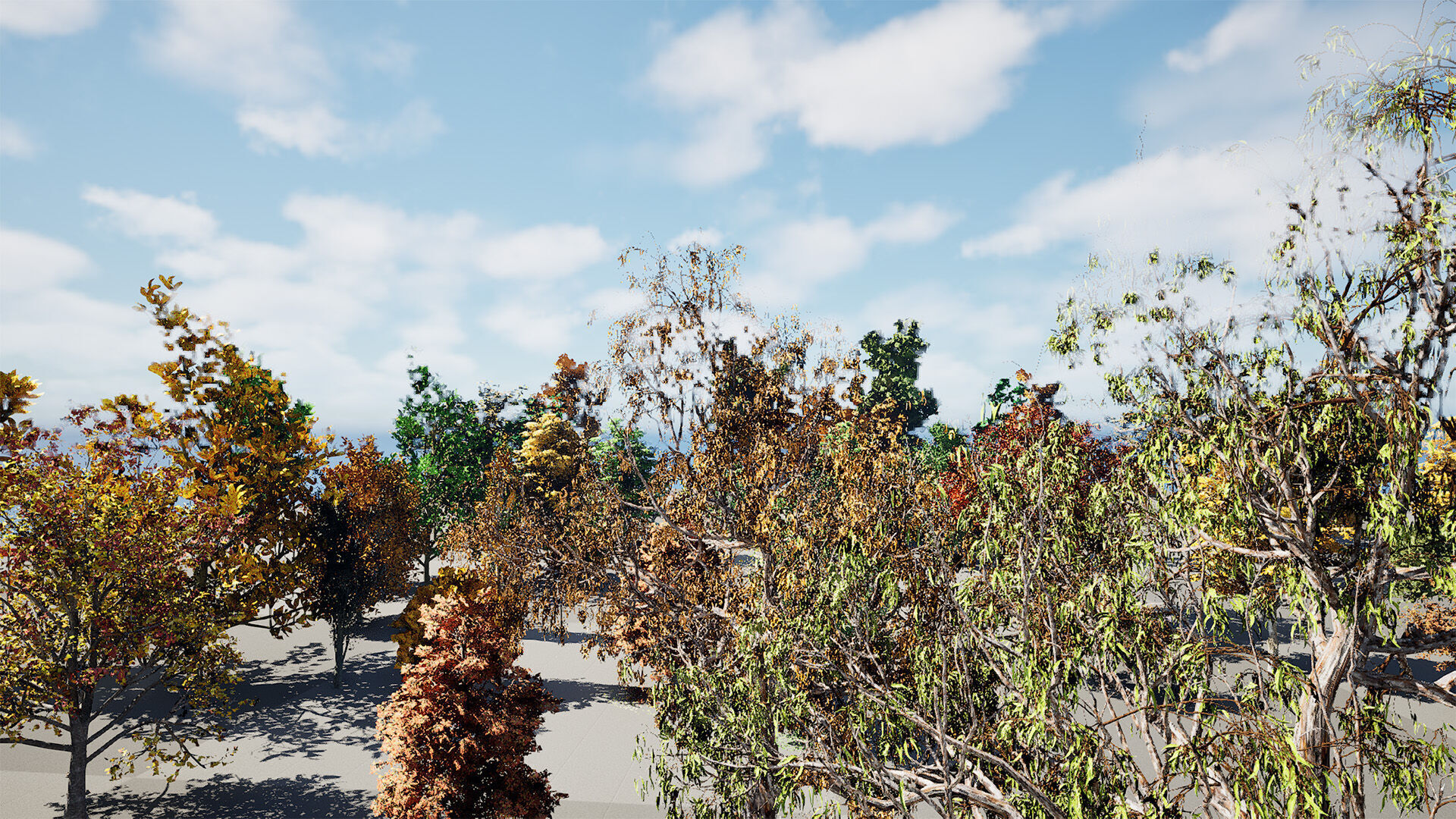 Fall Trees Collections Low-poly 3D model_6