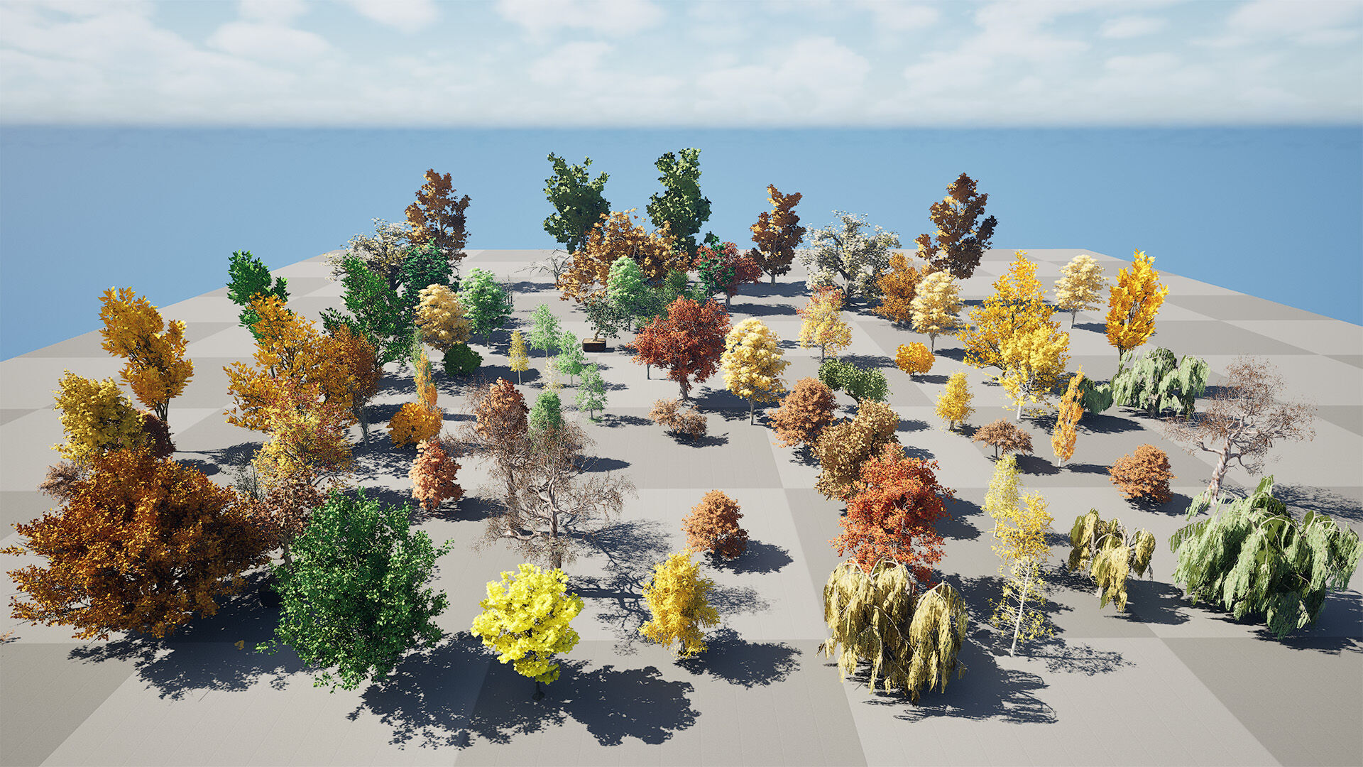 Fall Trees Collections Low-poly 3D model_5