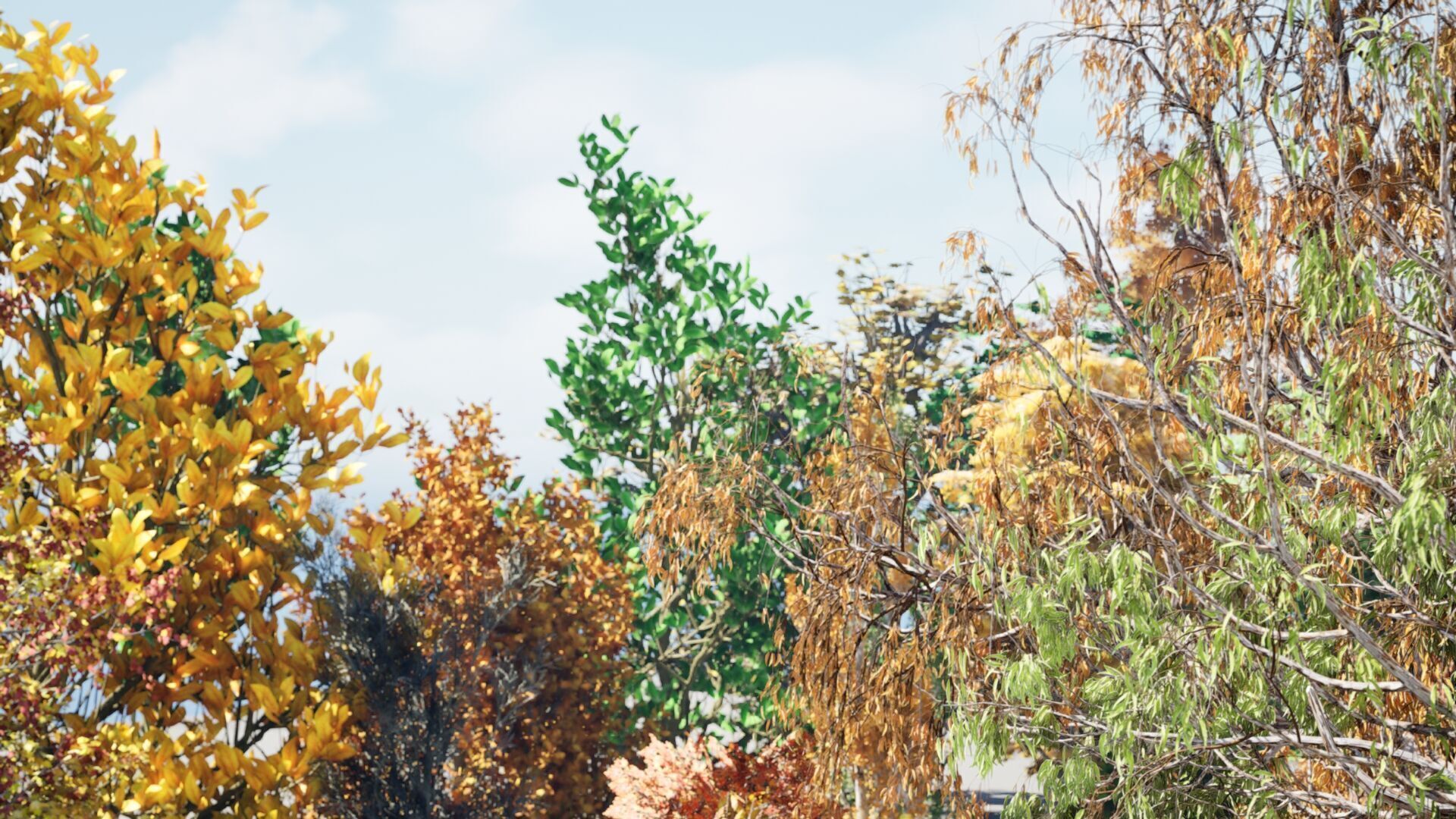 Fall Trees Collections Low-poly 3D model_3