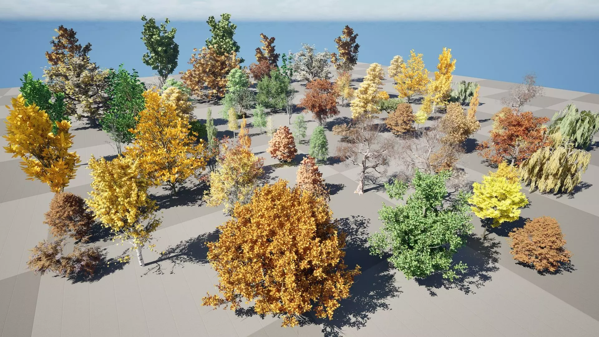 Fall Trees Collections Low-poly 3D model_0