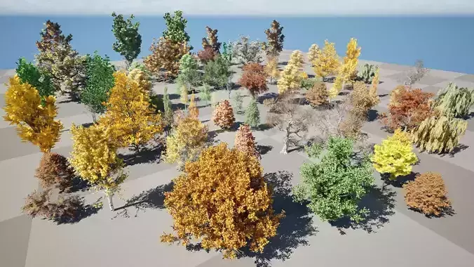 Fall Trees Collections