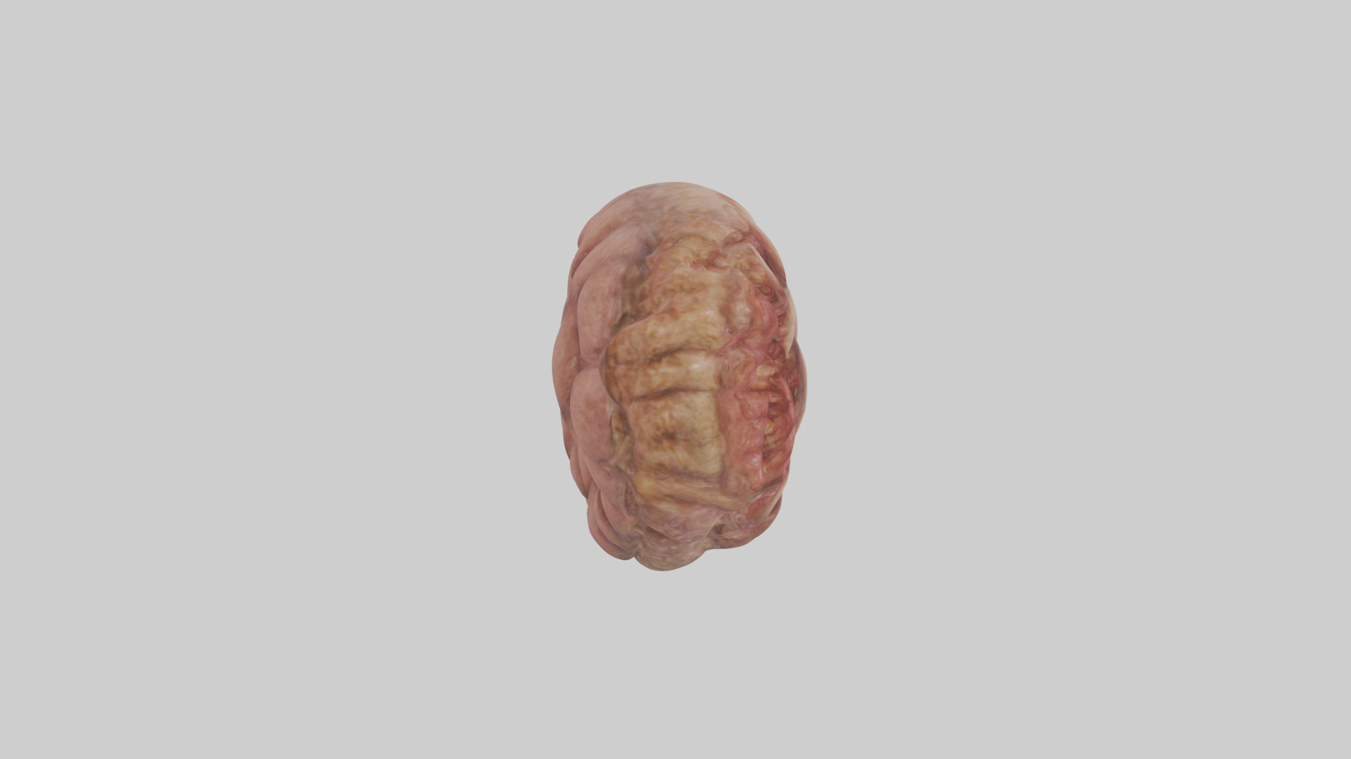 Leopard Large Intestine Low-poly 3D model_13