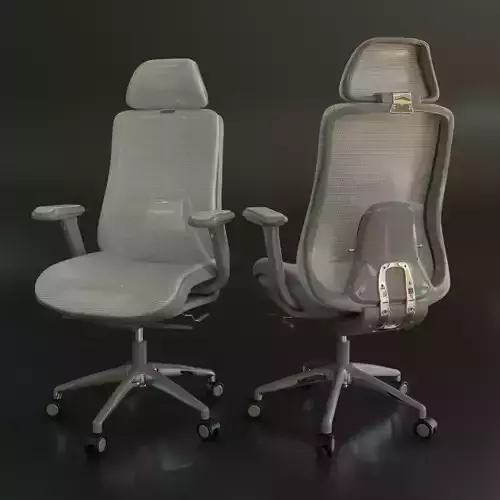 Ergonomic Chair 01