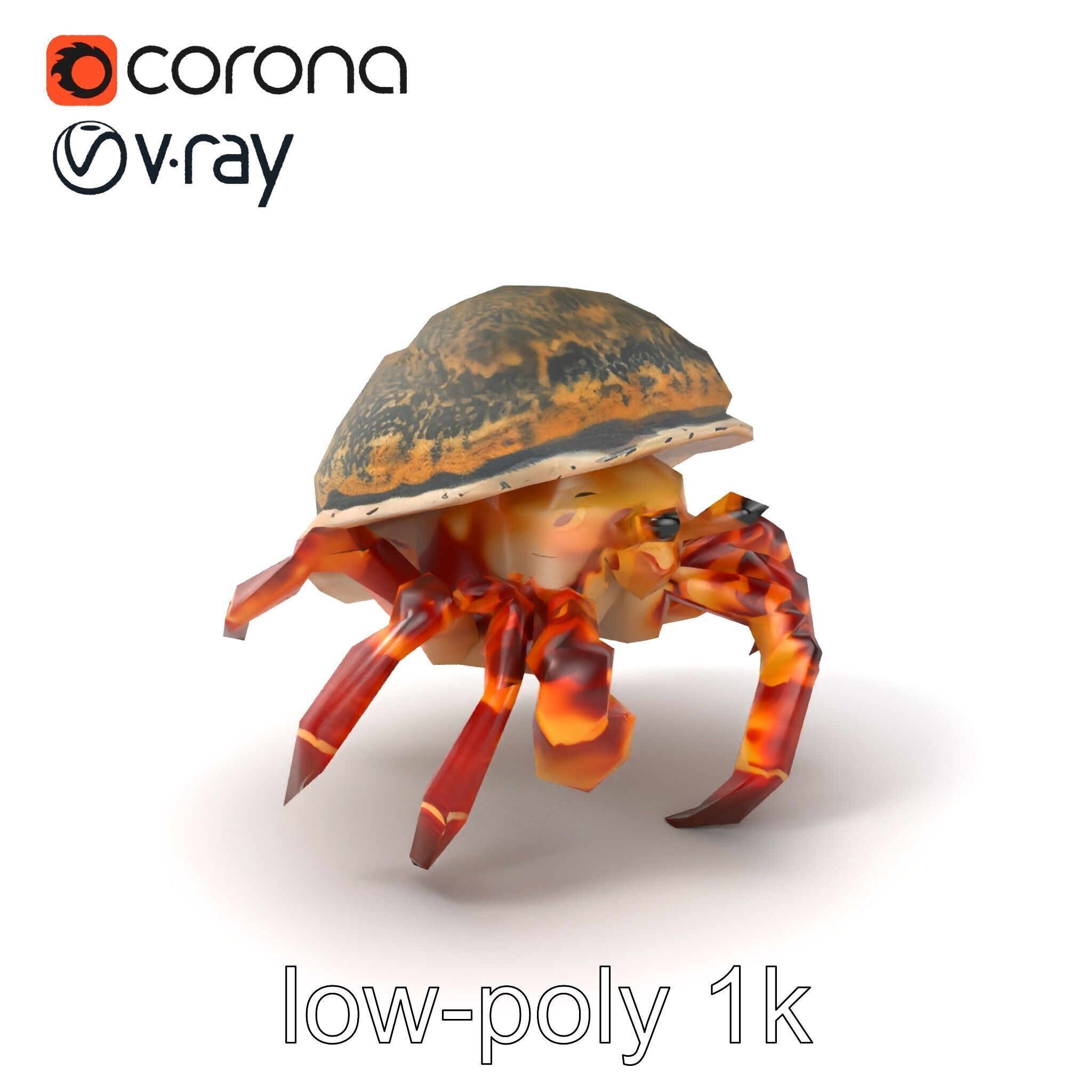 Hermit Crab Detailed Marine Creature model pack Low-poly 3D model_5