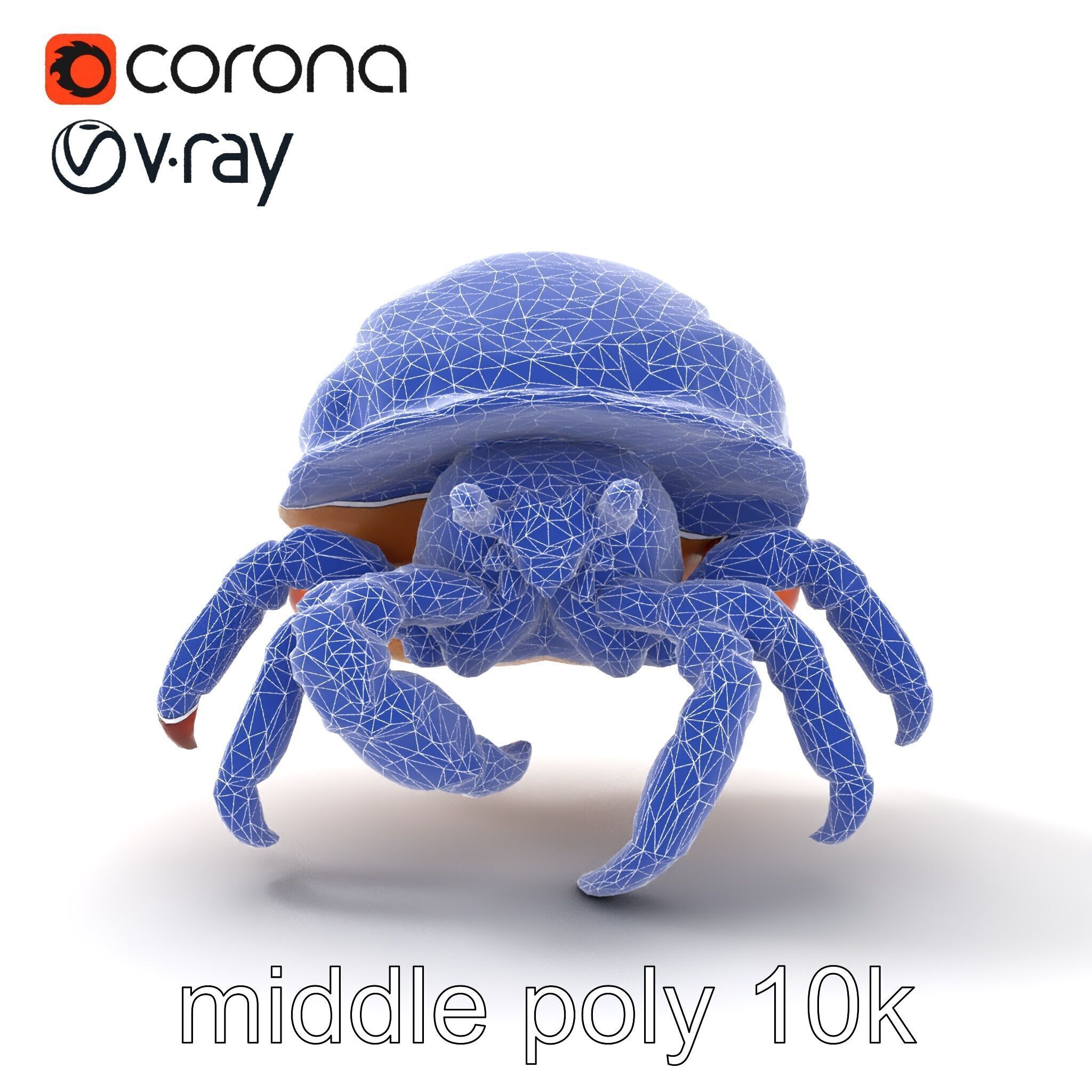 Hermit Crab Detailed Marine Creature model pack Low-poly 3D model_20