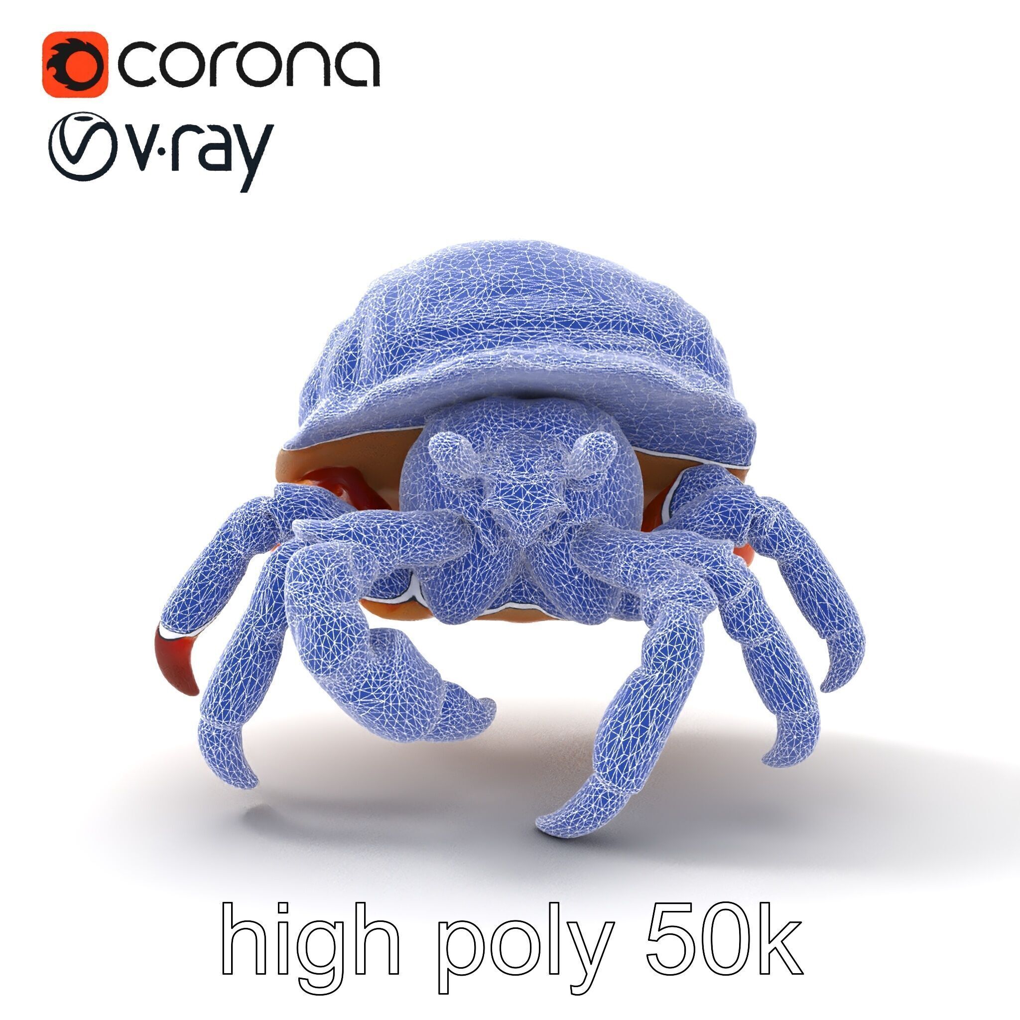 Hermit Crab Detailed Marine Creature model pack Low-poly 3D model_23