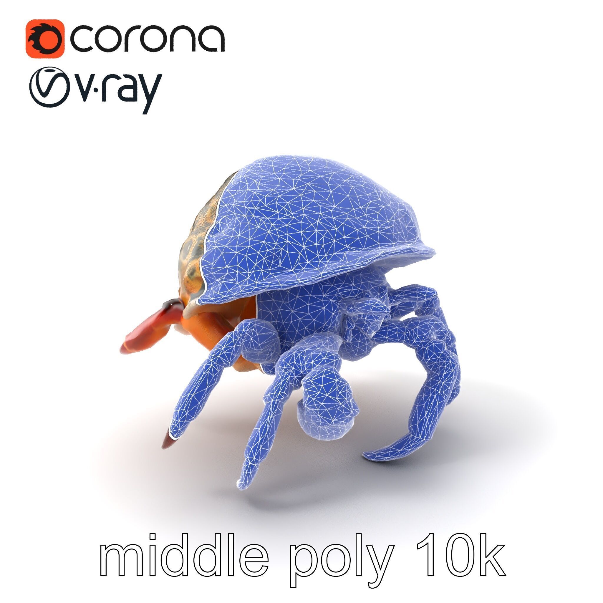 Hermit Crab Detailed Marine Creature model pack Low-poly 3D model_6