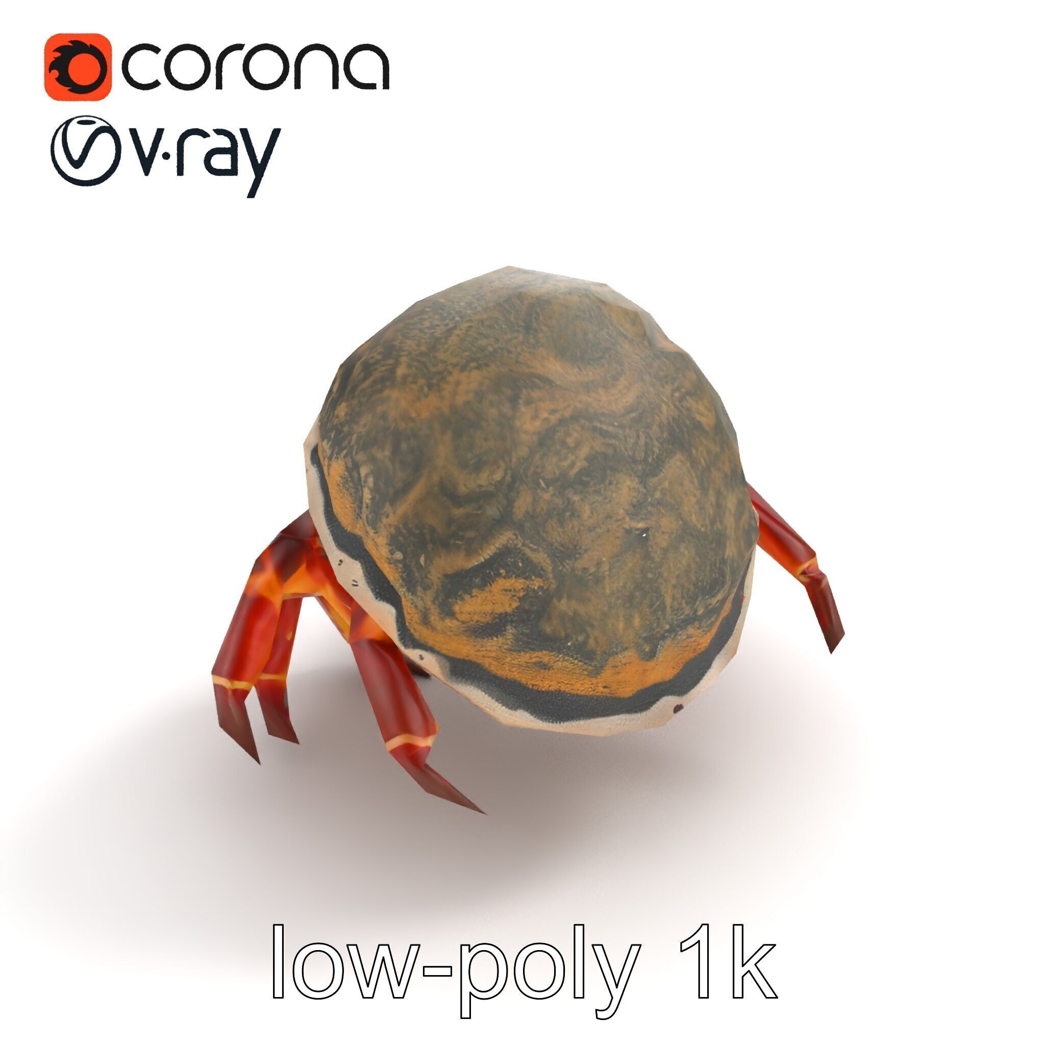 Hermit Crab Detailed Marine Creature model pack Low-poly 3D model_9