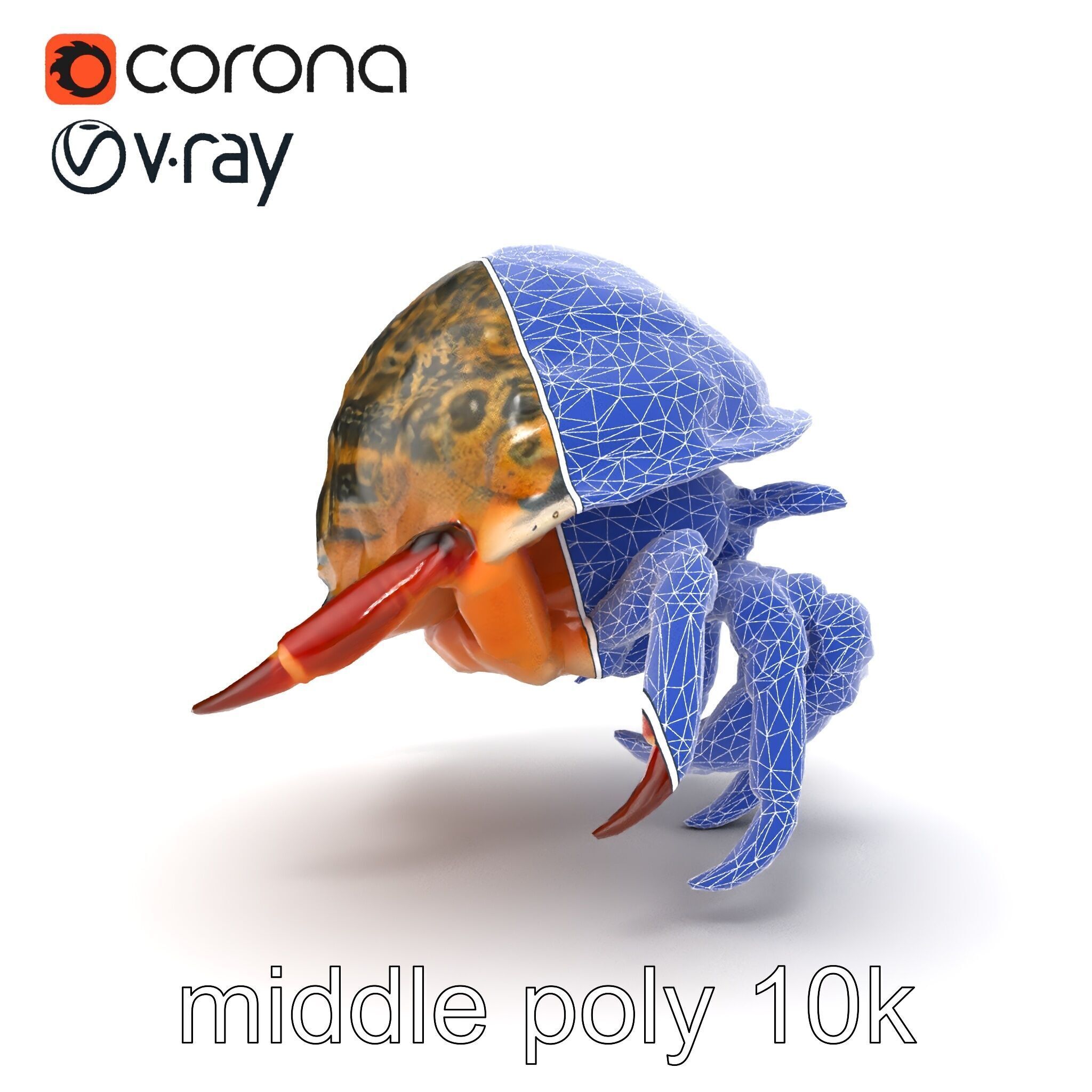 Hermit Crab Detailed Marine Creature model pack Low-poly 3D model_26