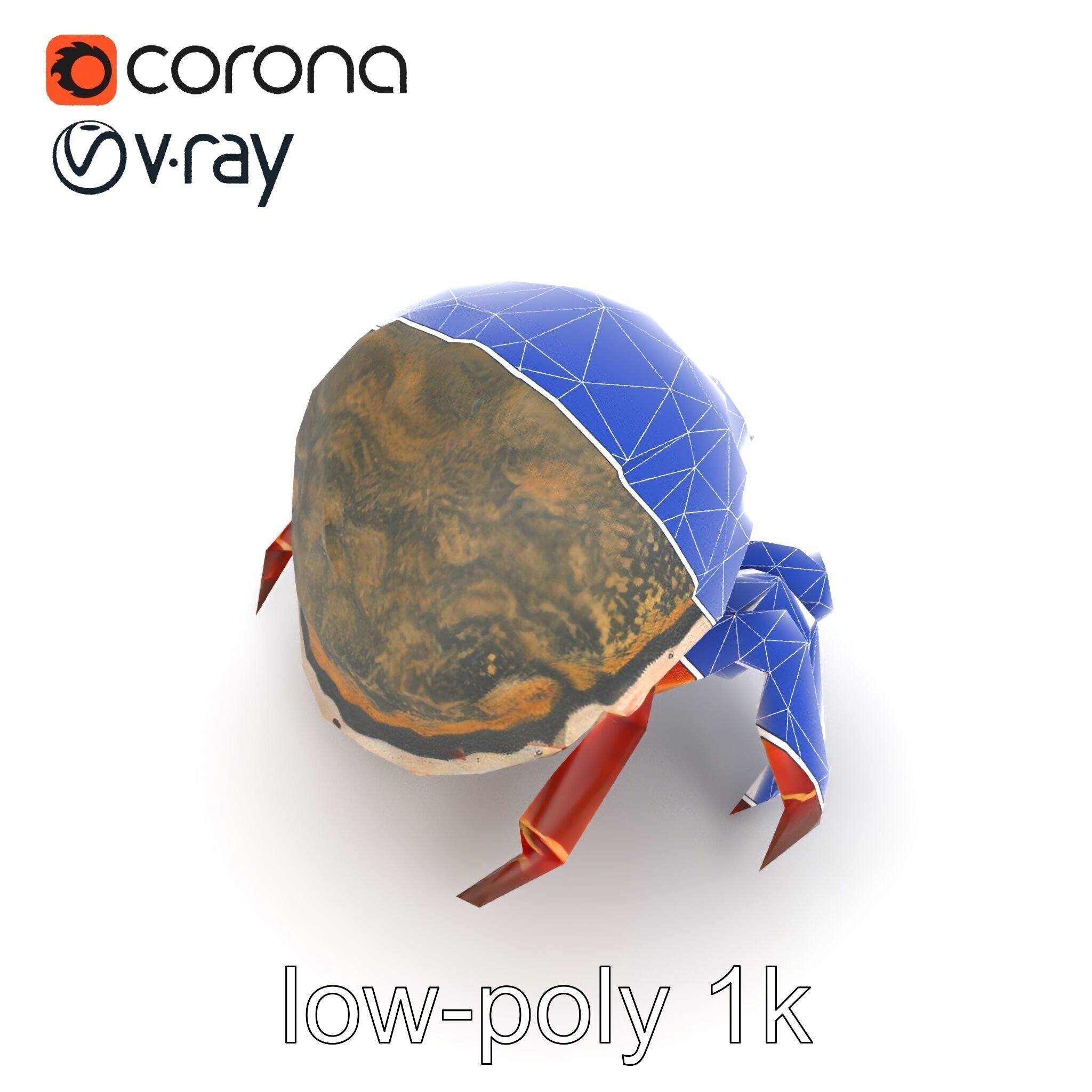 Hermit Crab Detailed Marine Creature model pack Low-poly 3D model_25