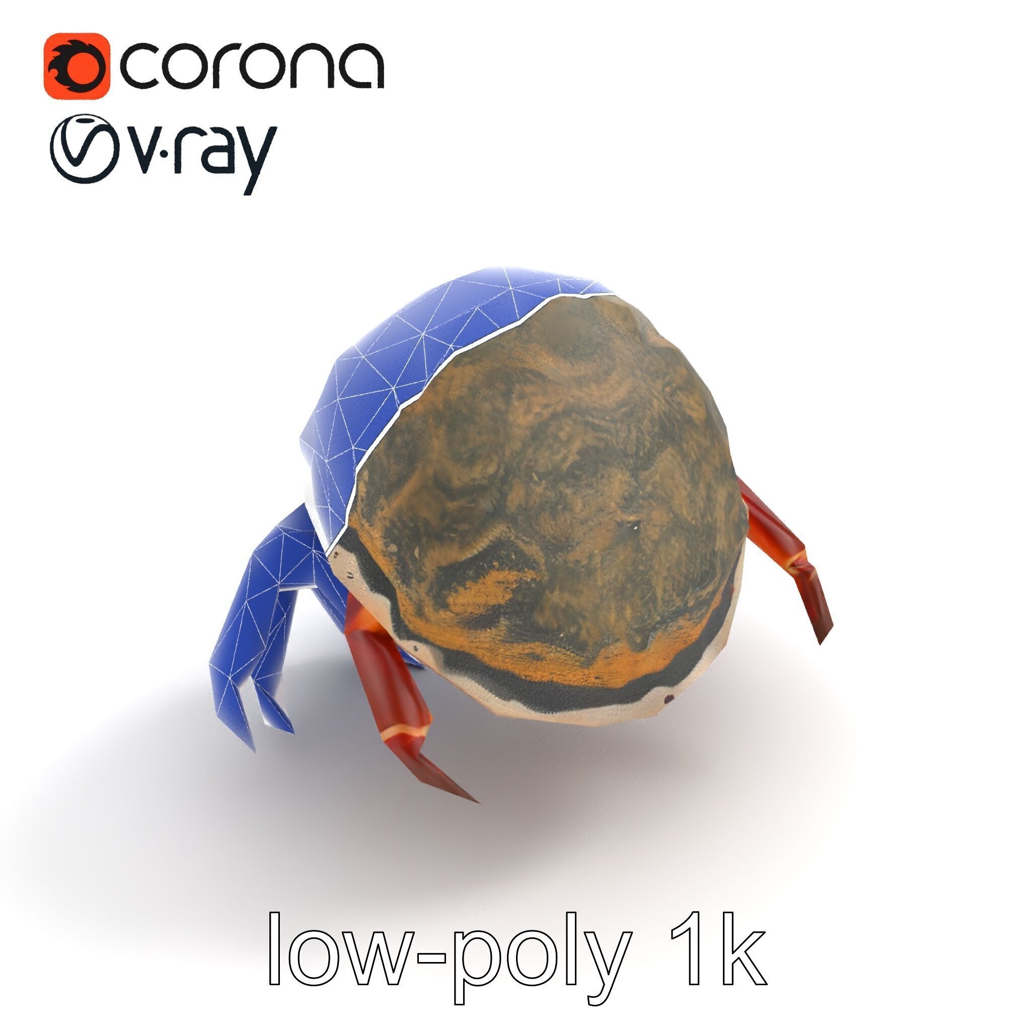 Hermit Crab Detailed Marine Creature model pack Low-poly 3D model_14