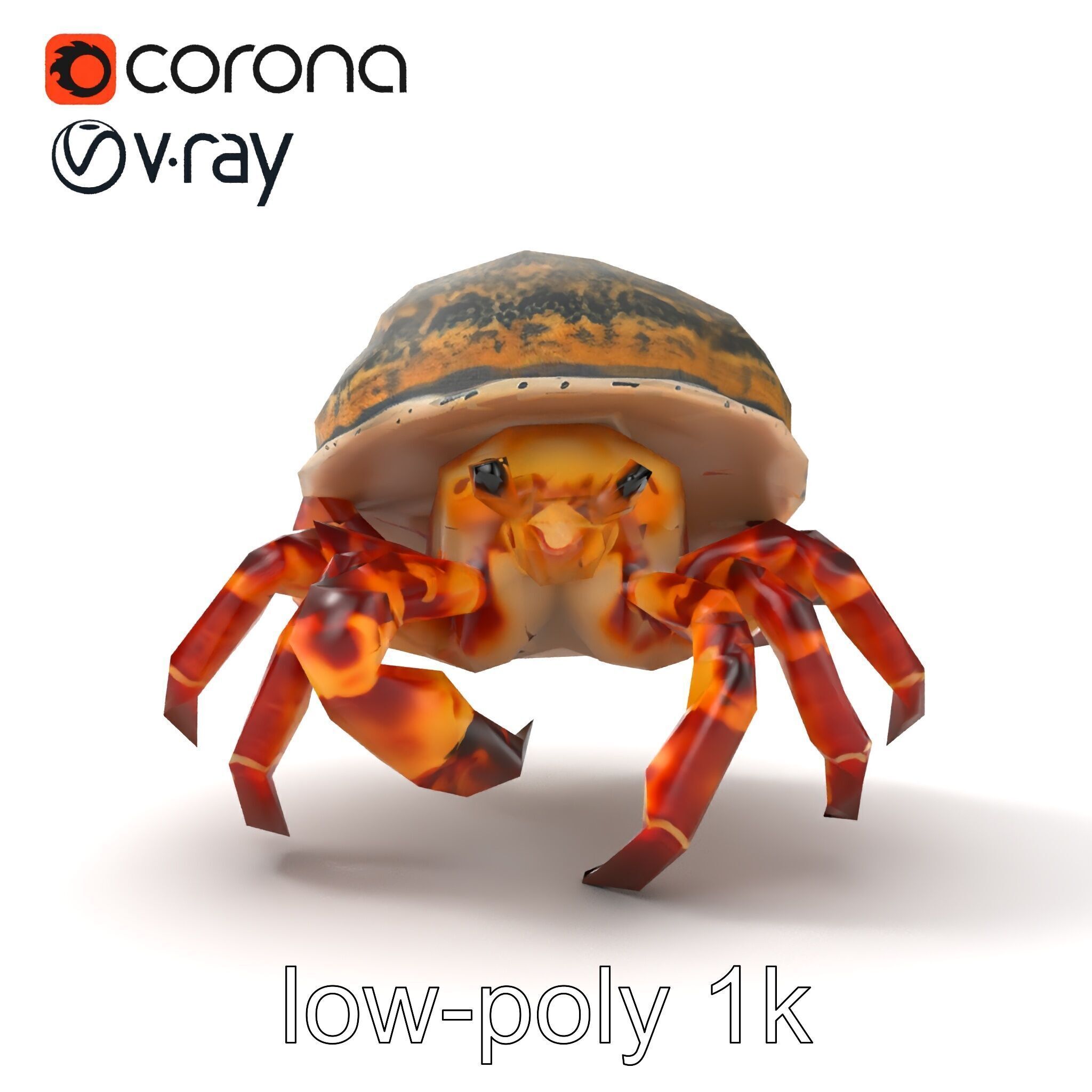 Hermit Crab Detailed Marine Creature model pack Low-poly 3D model_21