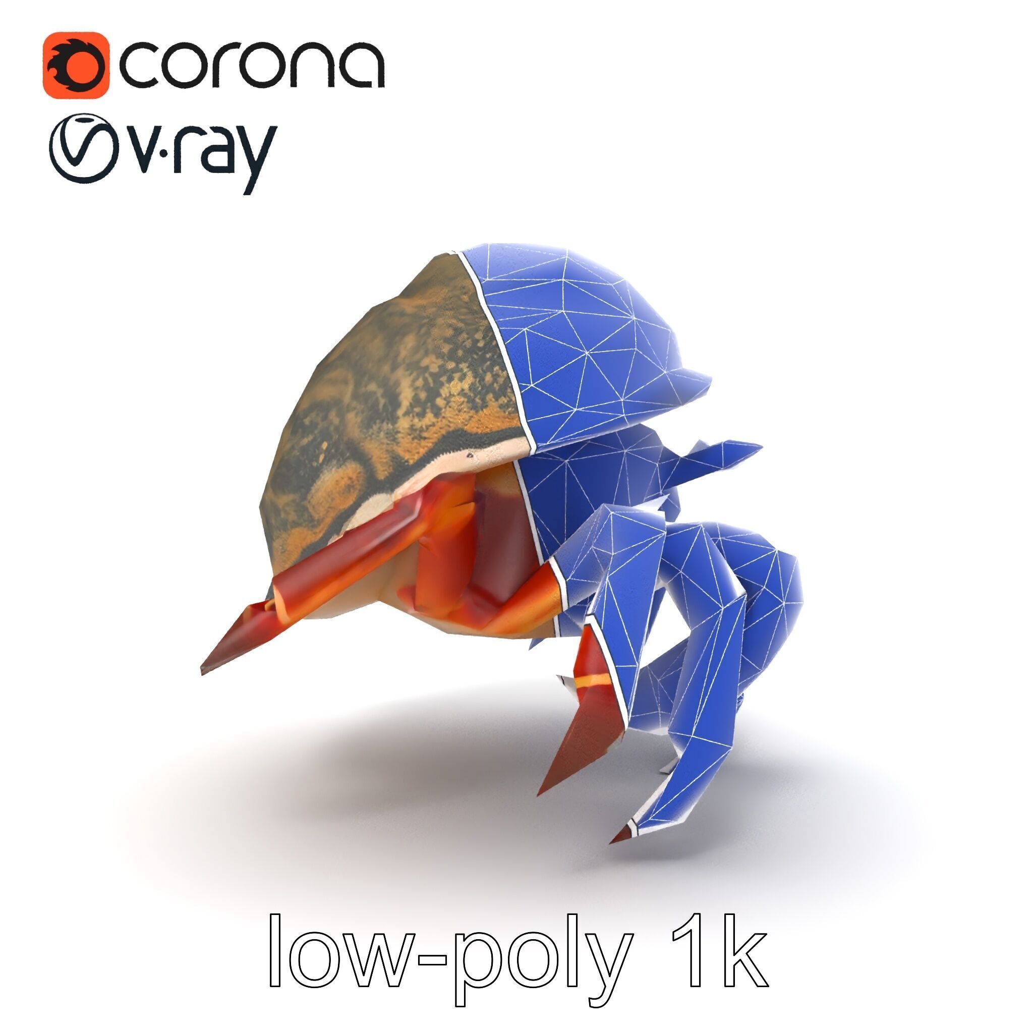 Hermit Crab Detailed Marine Creature model pack Low-poly 3D model_18