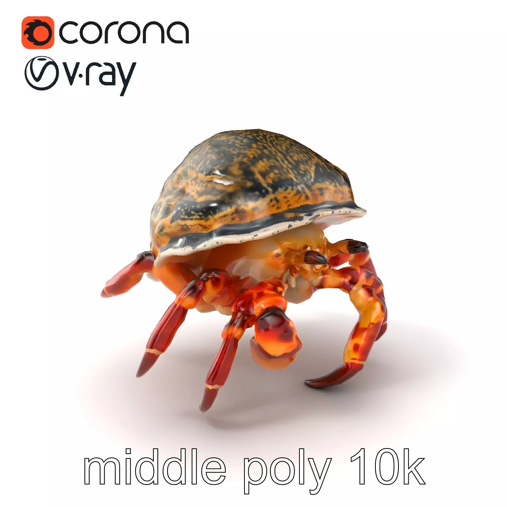 Hermit Crab Detailed Marine Creature model pack Low-poly 3D model_0